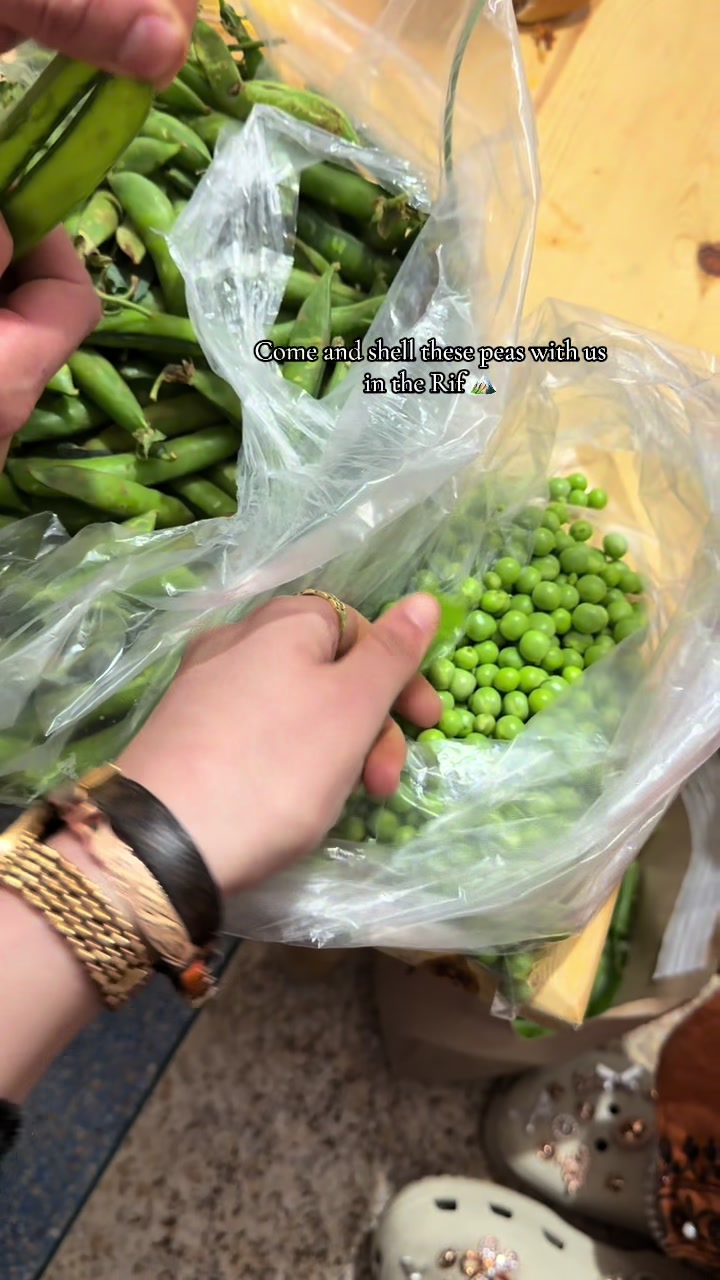 @๐๐ฒ๐ฝ๐ฌ๐ฑ๐ฎ๐ท๐ซ๐๐ผ๐ธ๐พ๐พ๐พ
