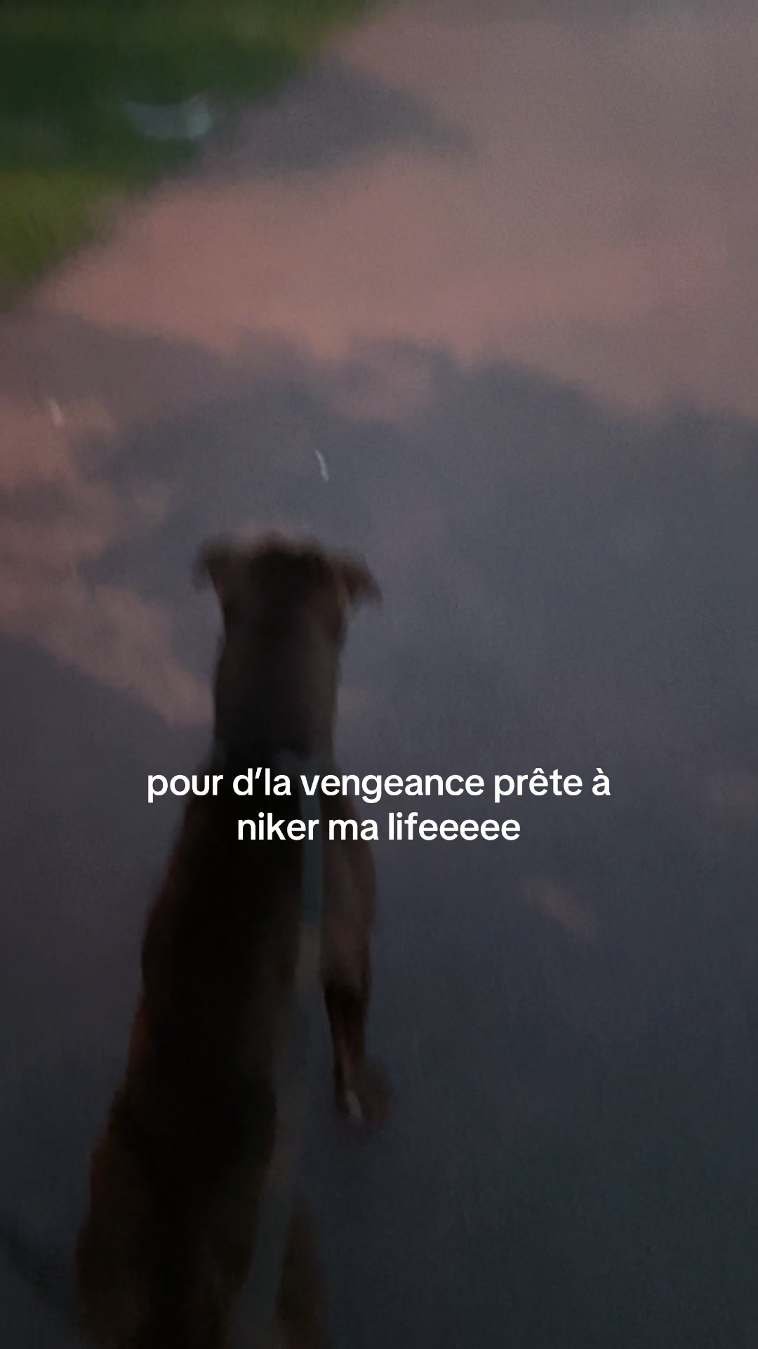 @klarinette