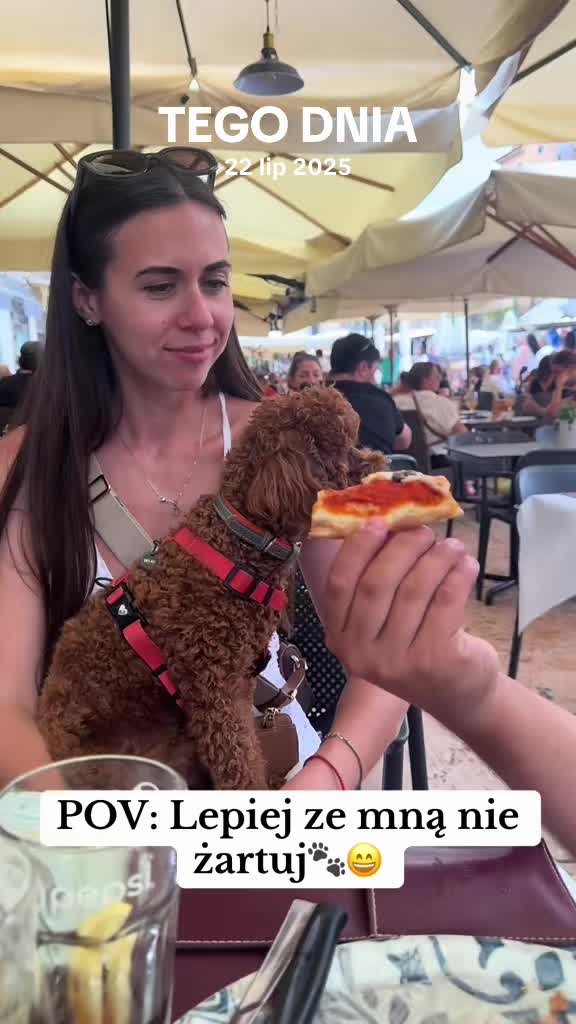 @Benni 🐾 IG: benni_toypoodle