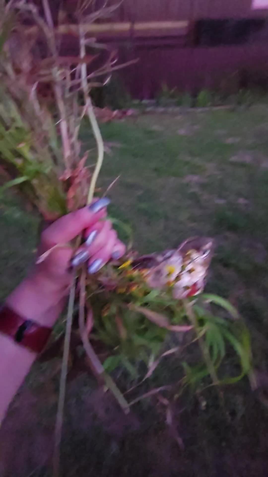 @Елена Старцева