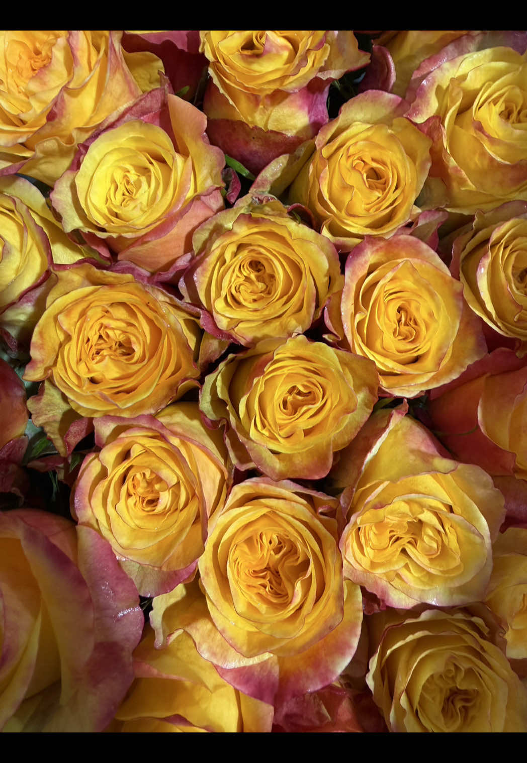 @ecflowersdirect