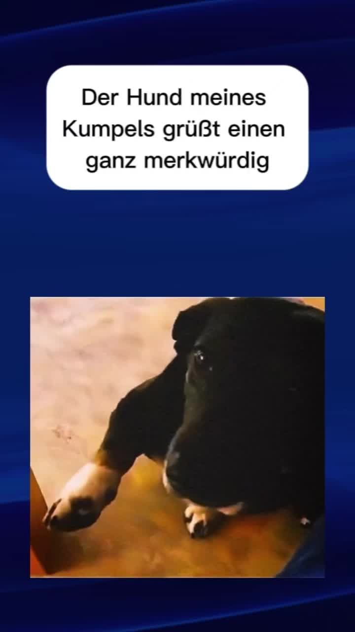 @Mesut 👑
