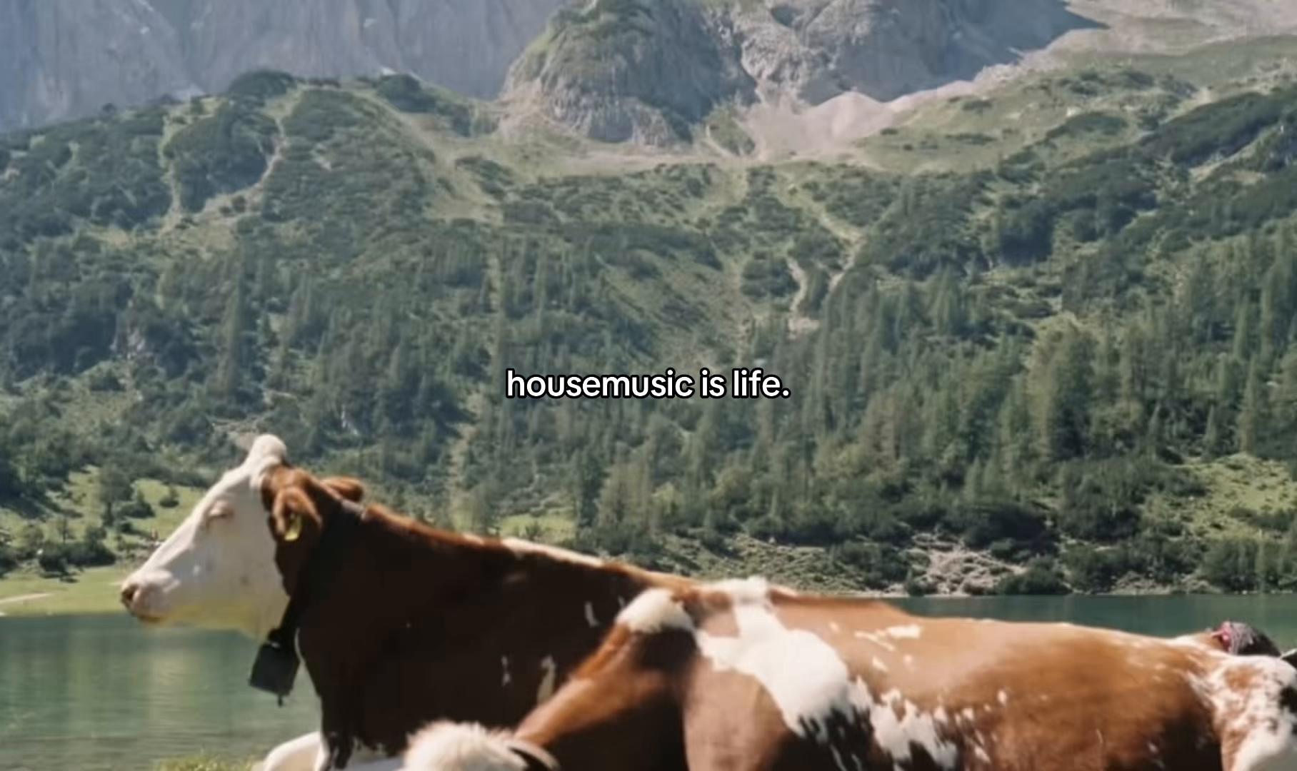 @housemusicarchive