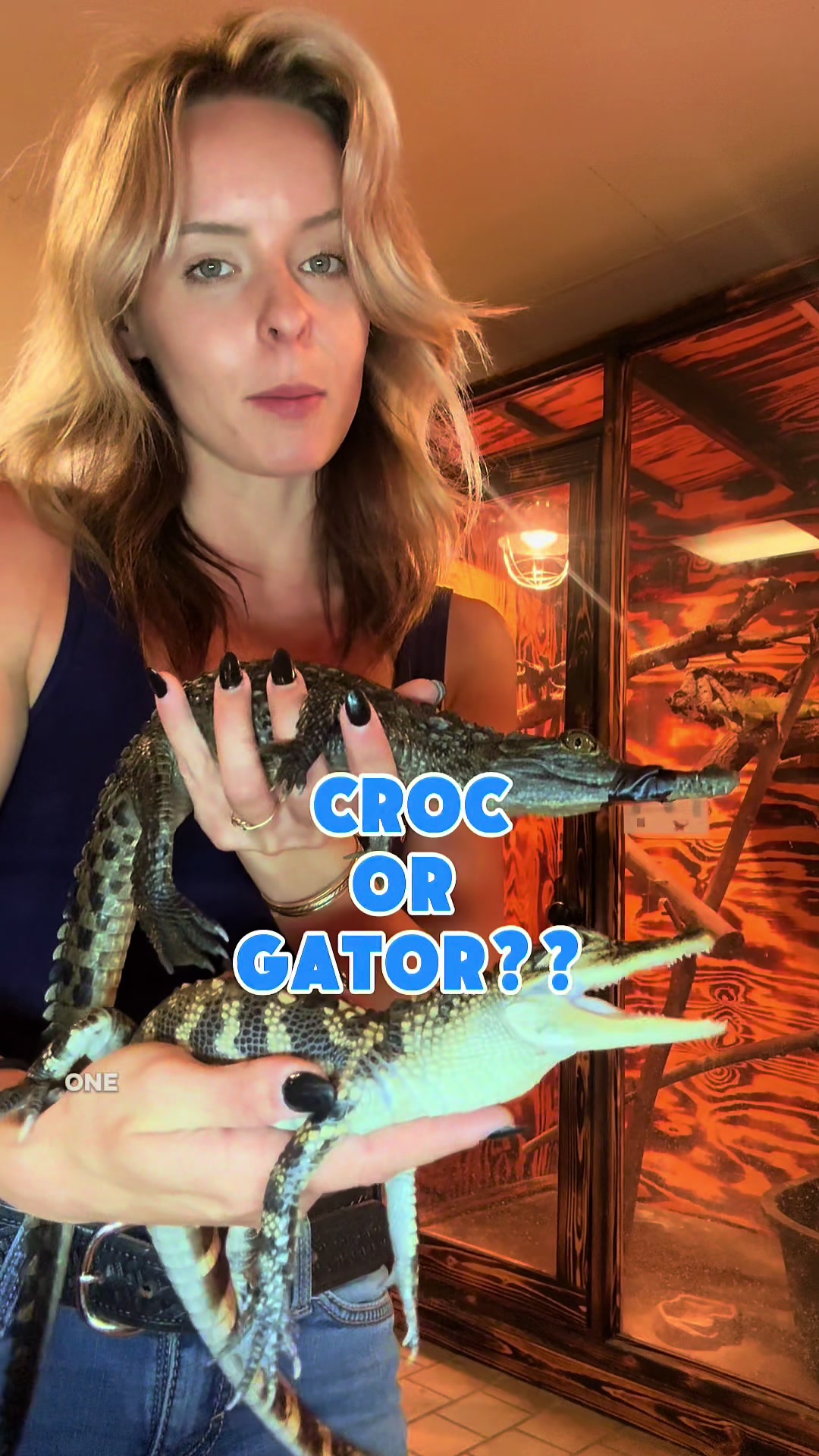 @Gator Country TX