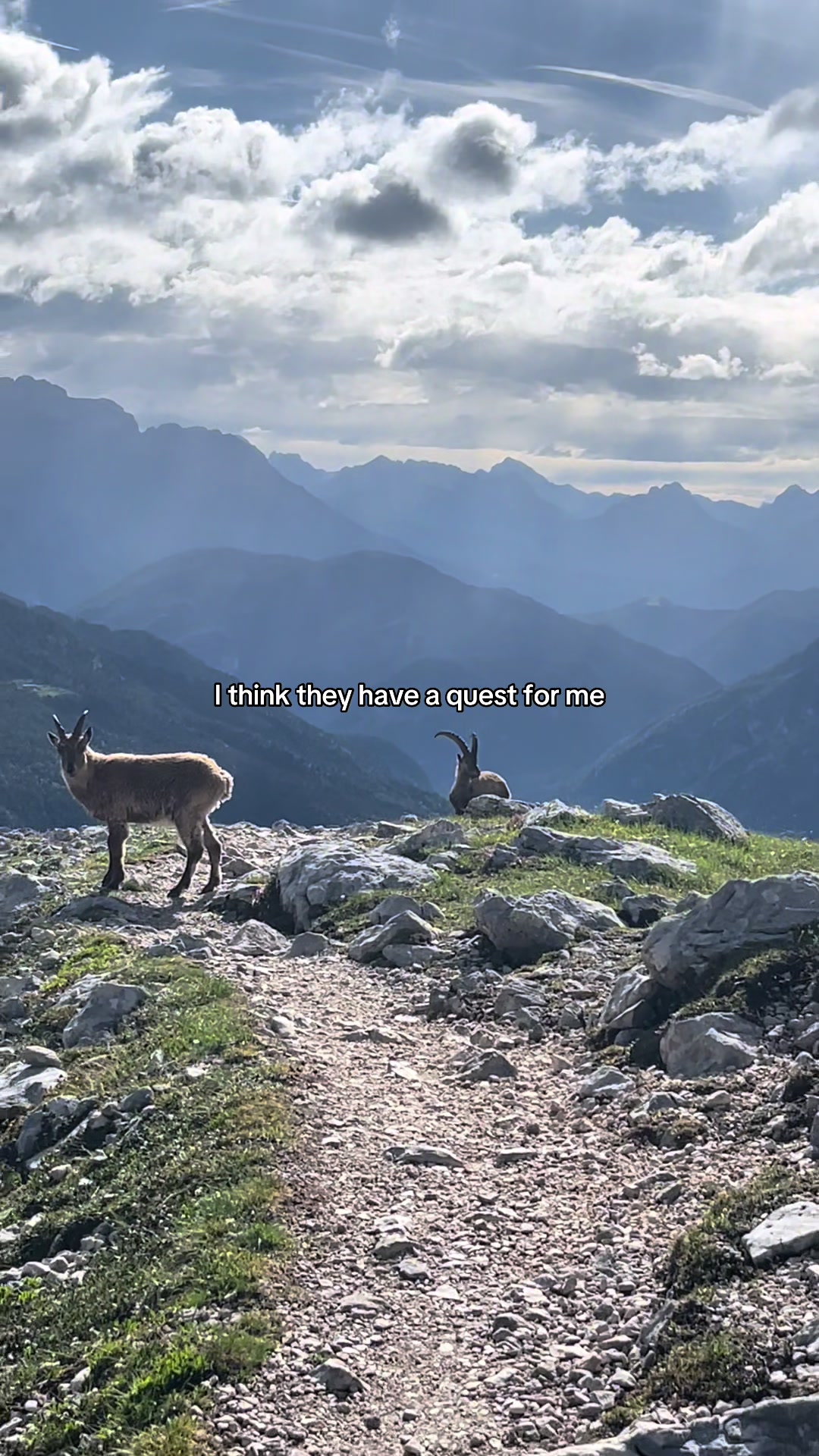@Sweder🏔️