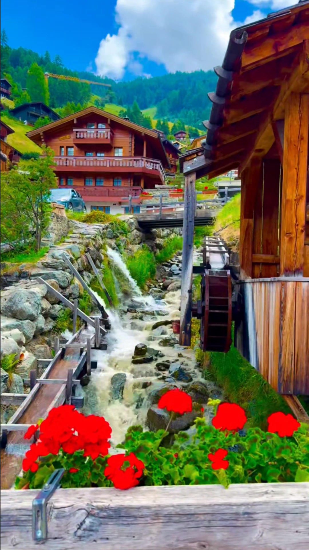 @🌿Relaxing Nature World🌿
