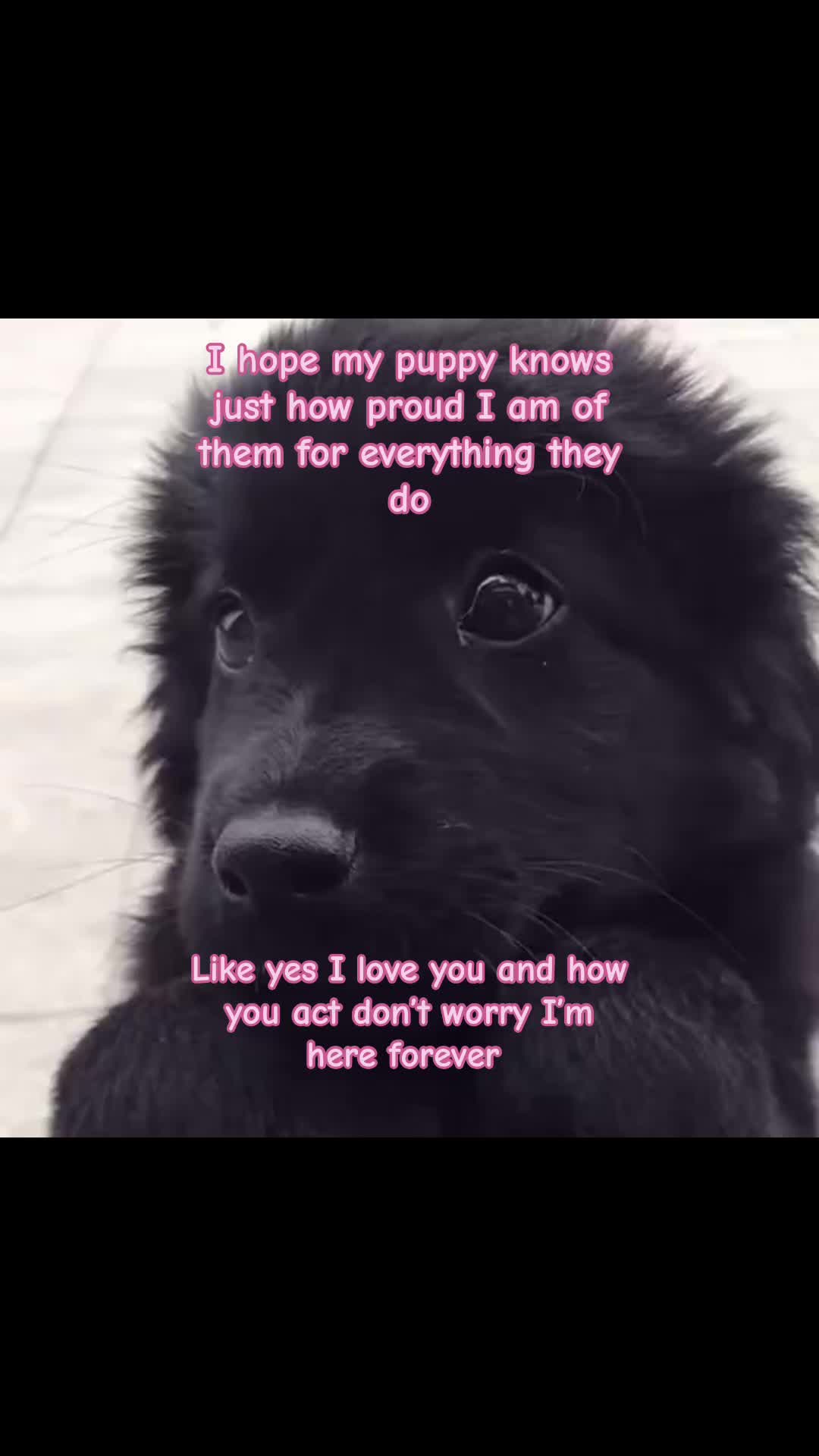 @_xxvzvxx_