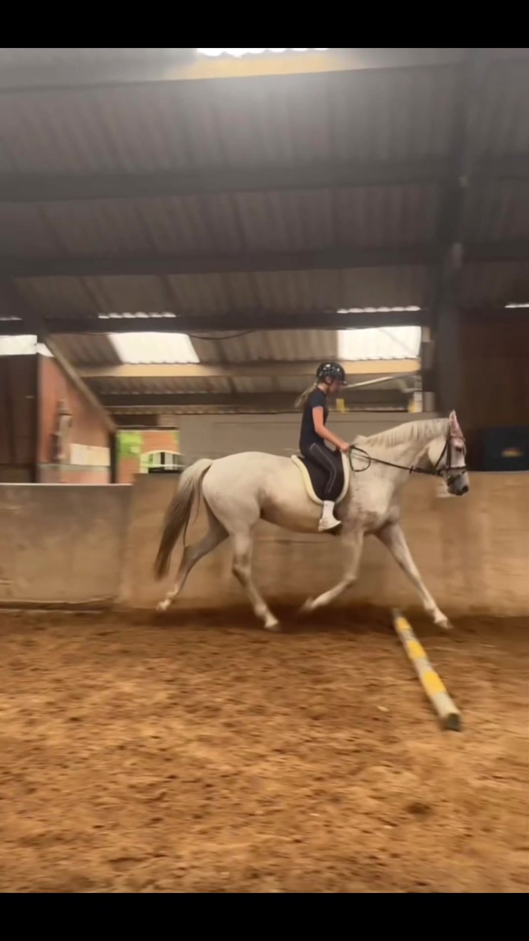 @Equi Roosje🇳🇱