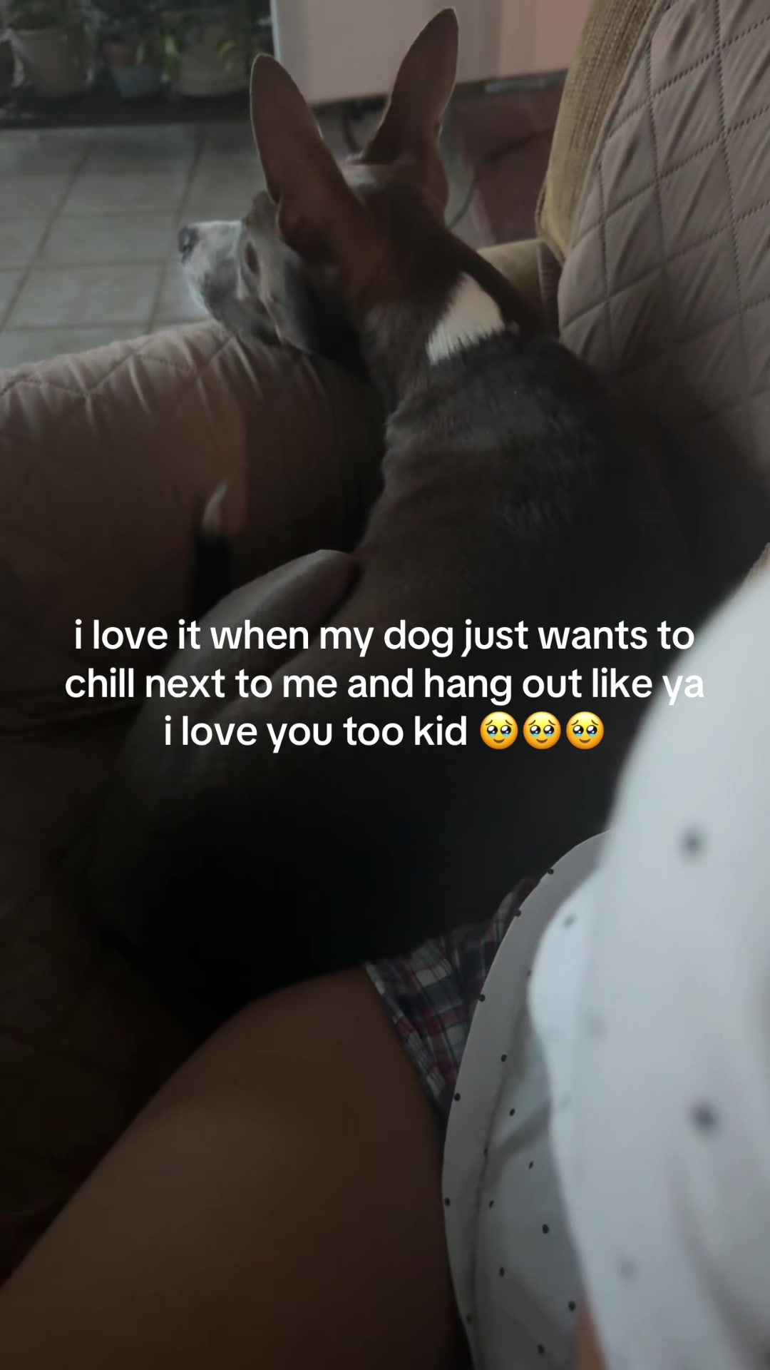 @AMANDA