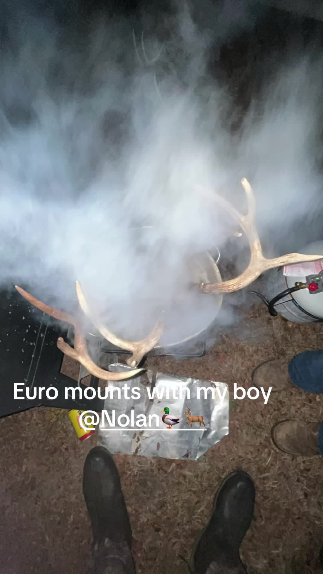 @KB 🦆🦌