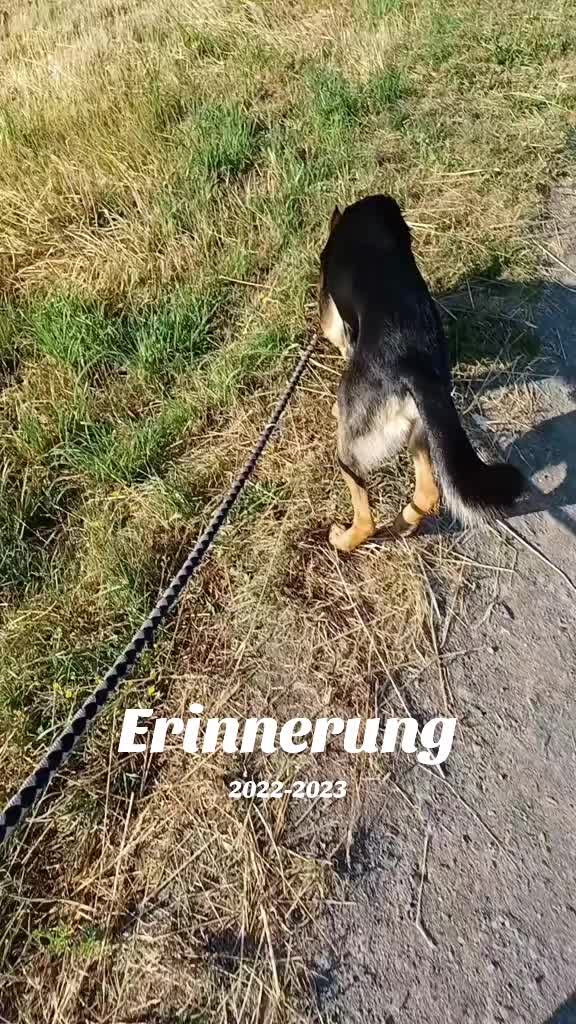 @Freiwildmama20