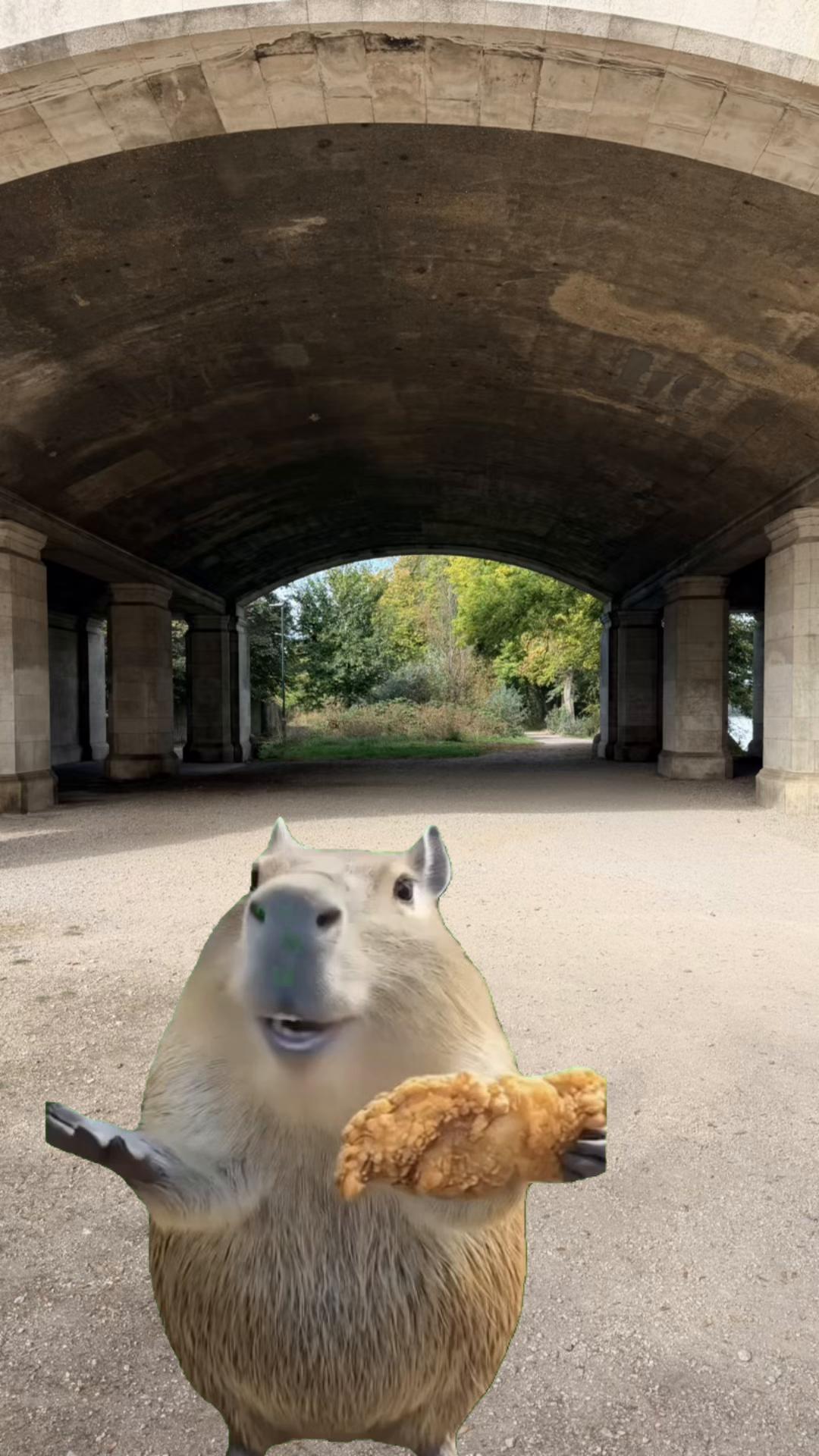 @humanmcnugget