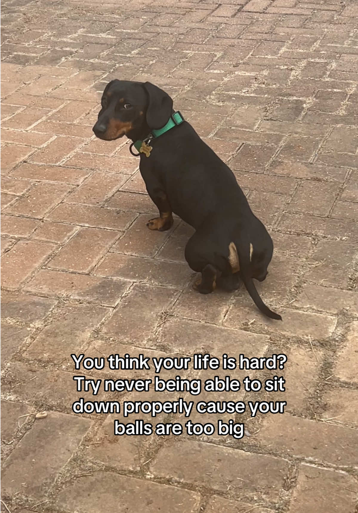 @Rebecca, Pip & Rolo