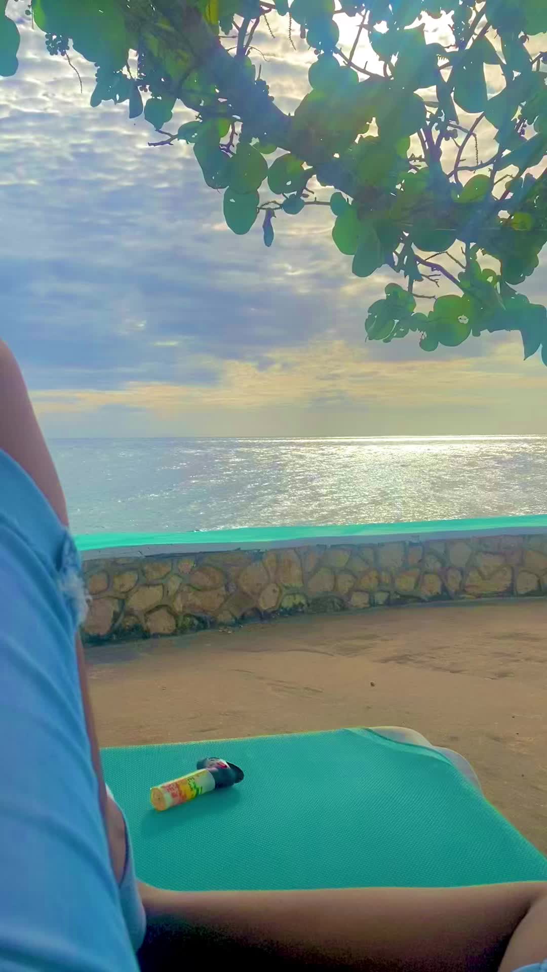 @🌬️Caribbean Tash 💨✨