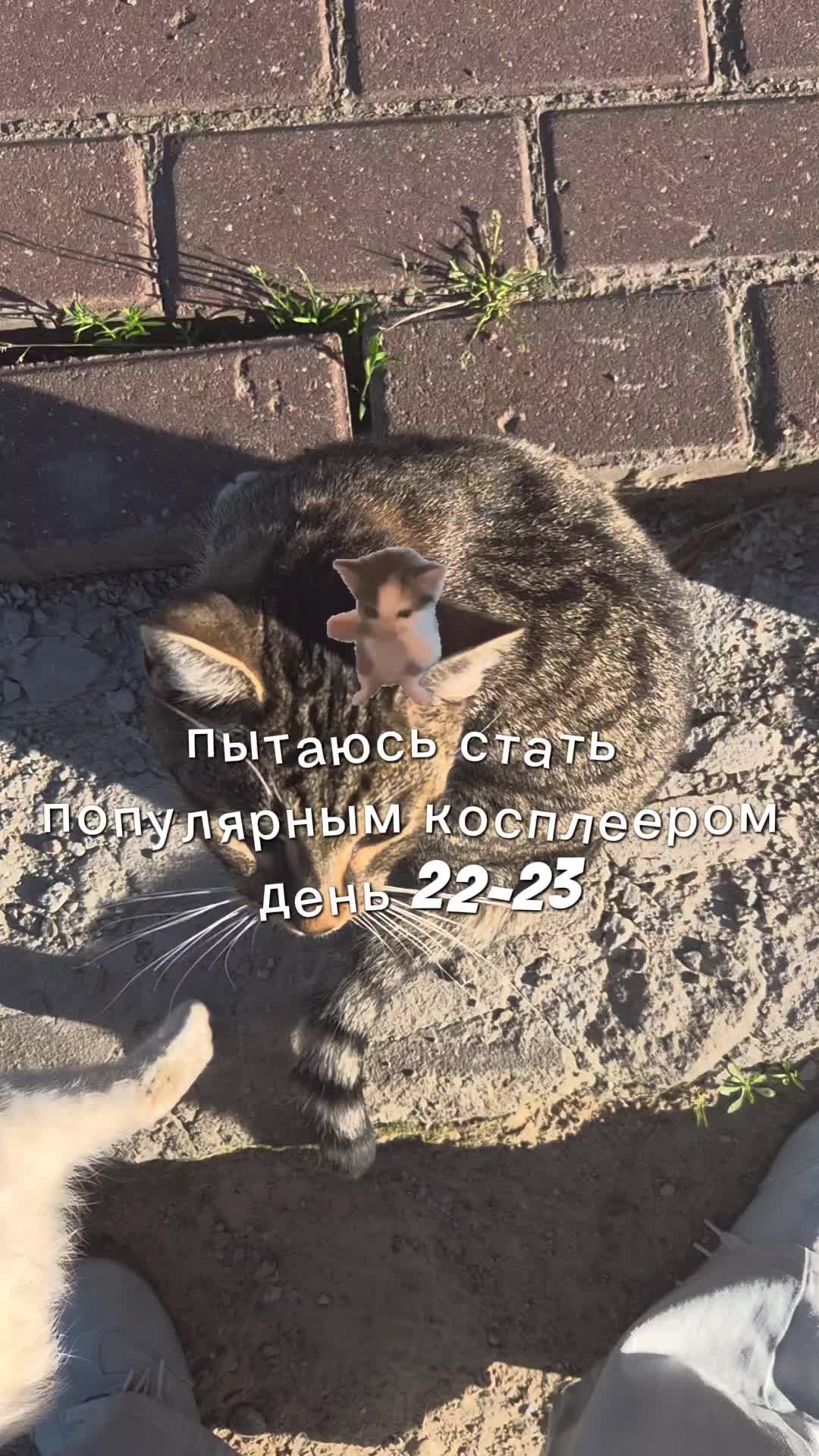 @L1_1ox (Лив лох) @