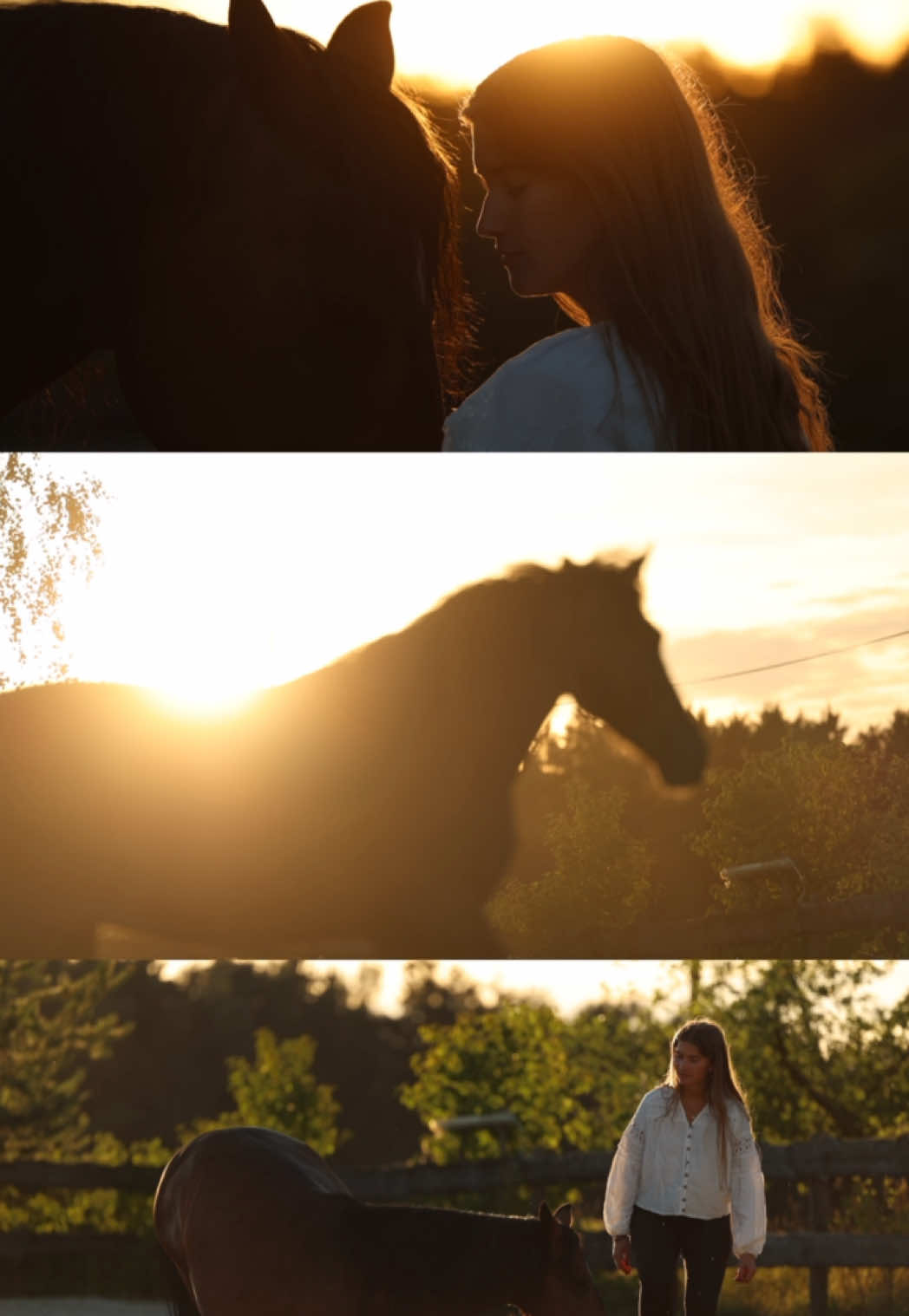 @FieryHorses ❤️&zwj;🔥
