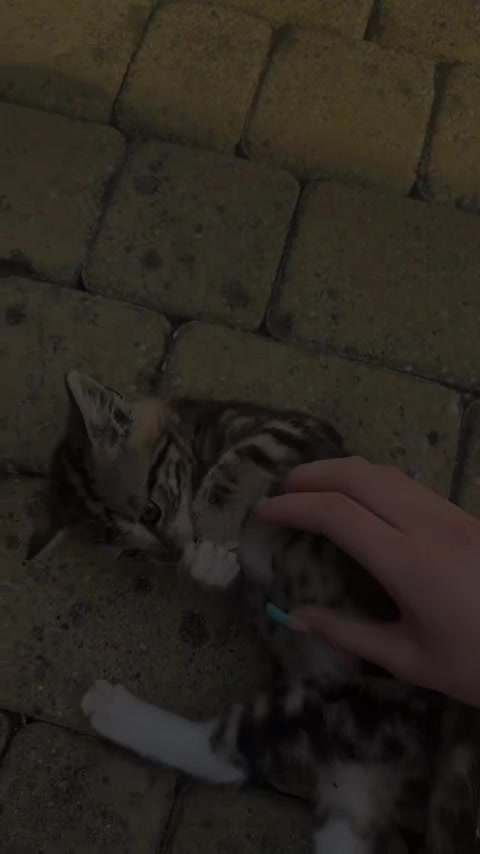 @_𝐣𝐮𝐥𝐚_