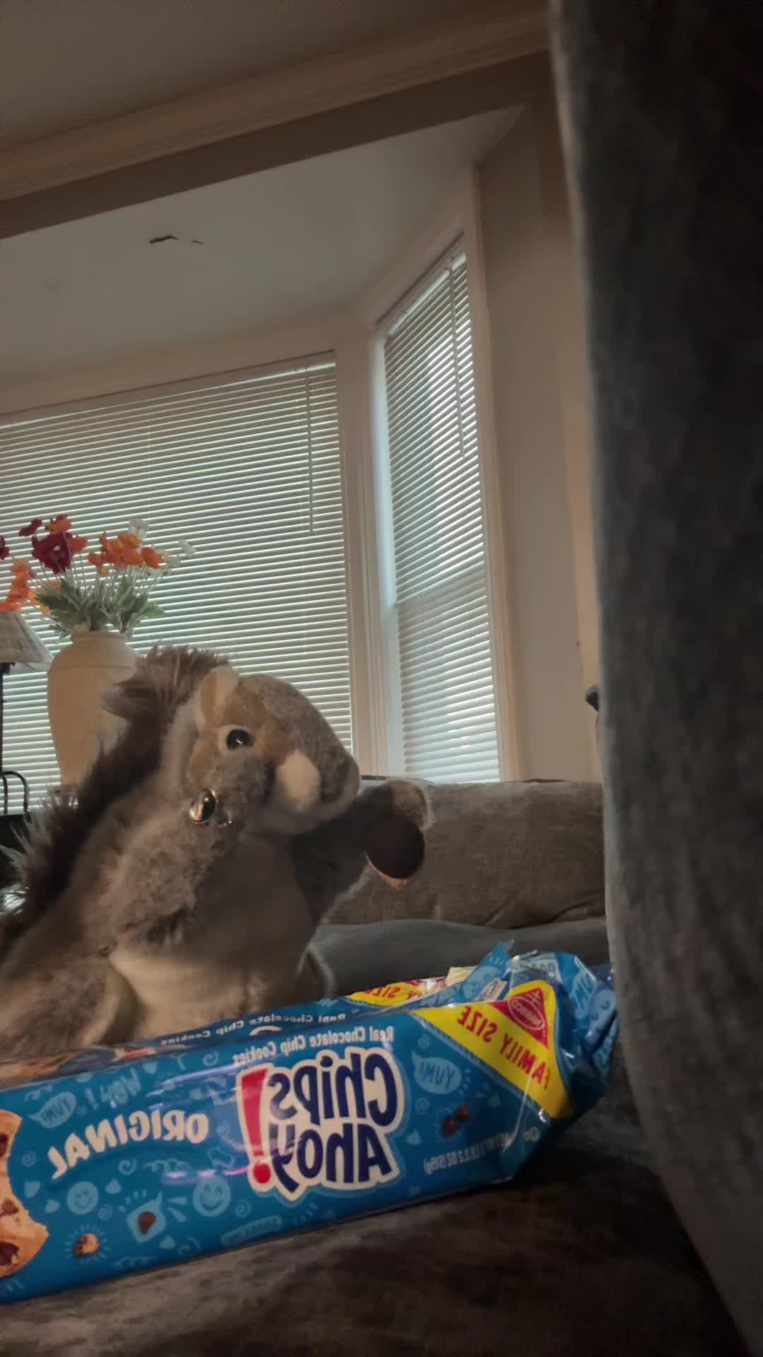 @Apple squirrel