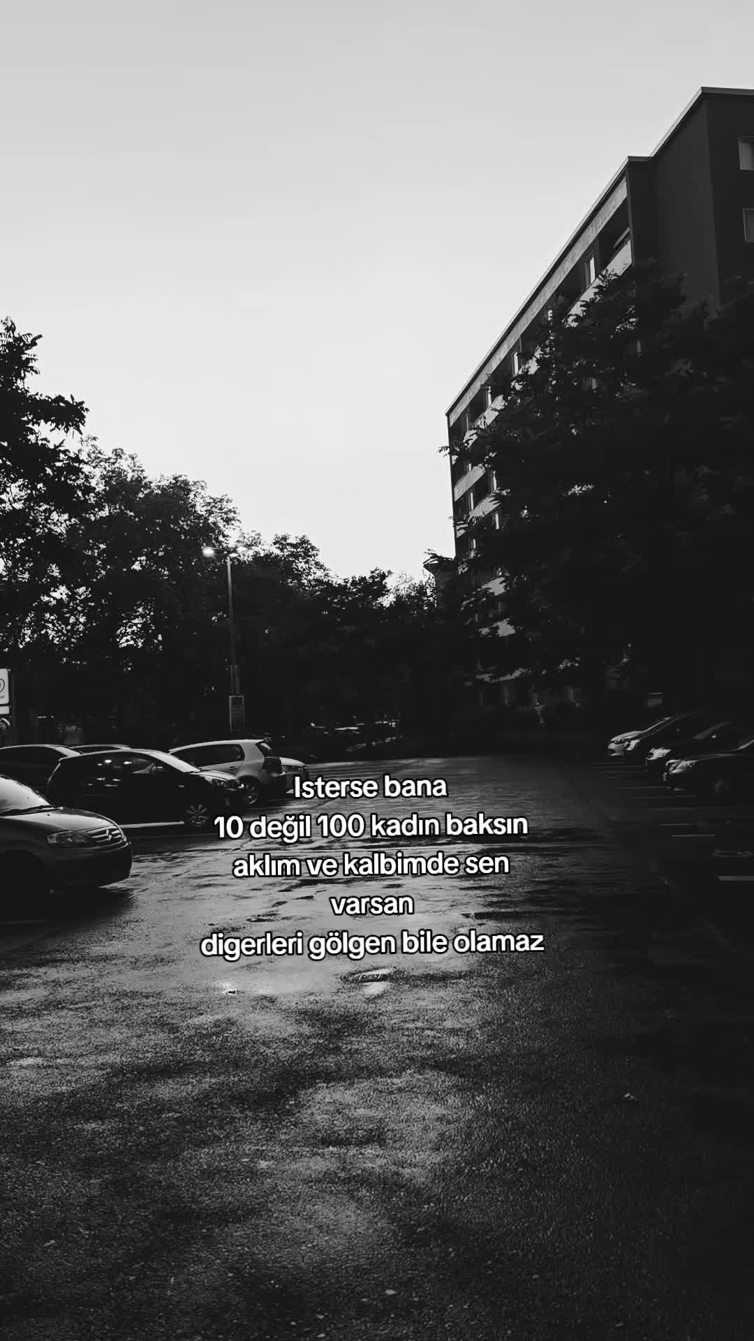 @ʙᴇʀʟɪ̇ɴ