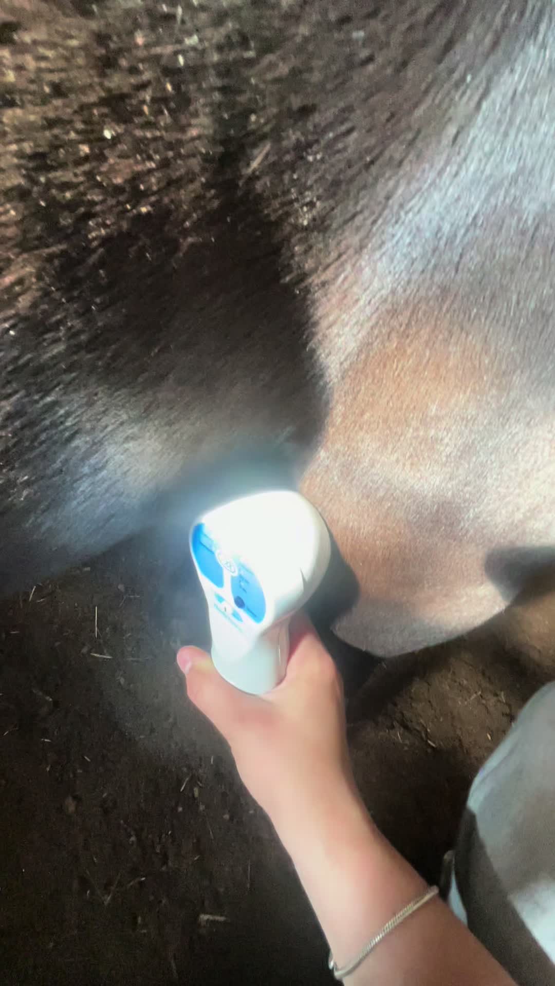 @🦄🦄