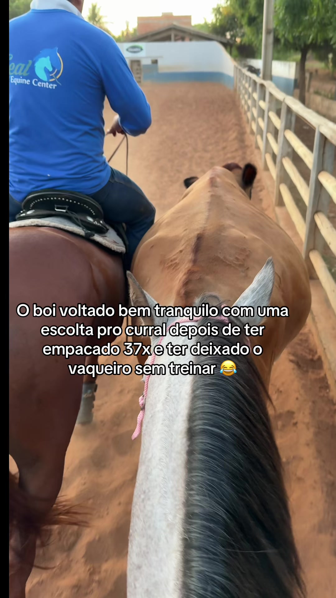 @Thayná Martins