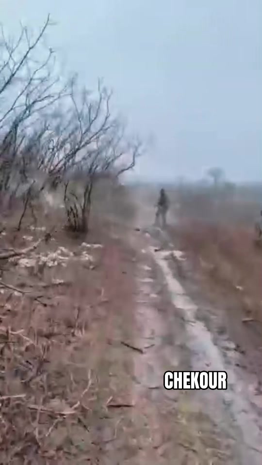 @ЧЕКУР  Z 🇷🇺🤙🎻💀