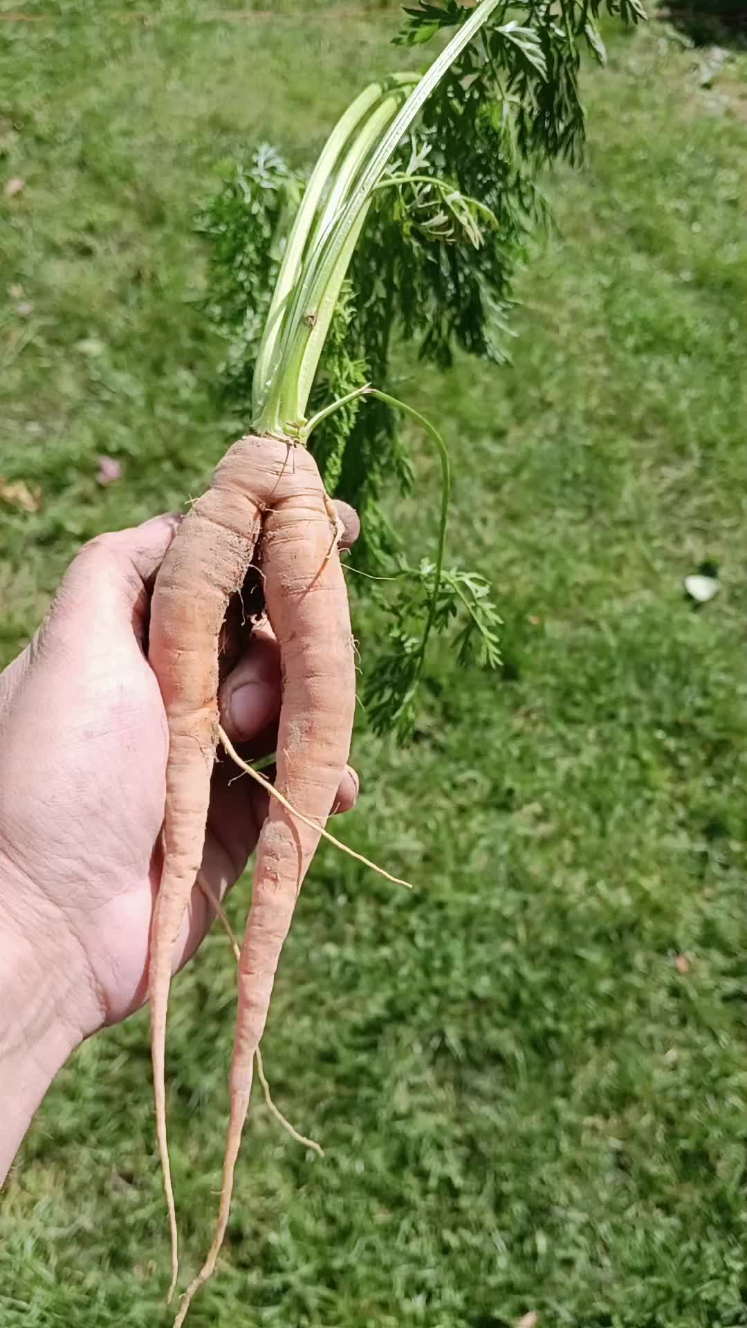 @FarmPmi