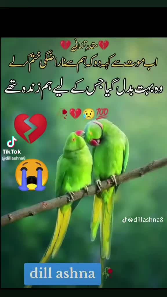 @Sanam Baloch
