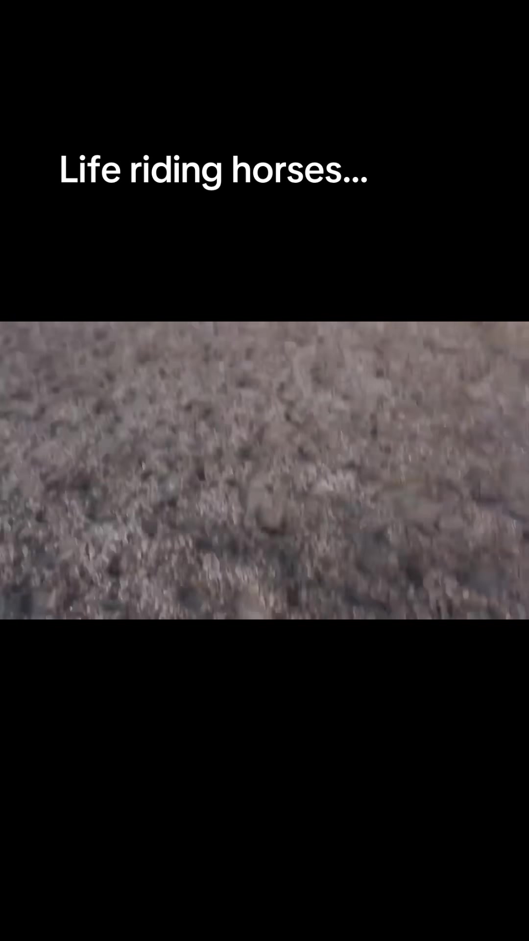 @xmegan.18