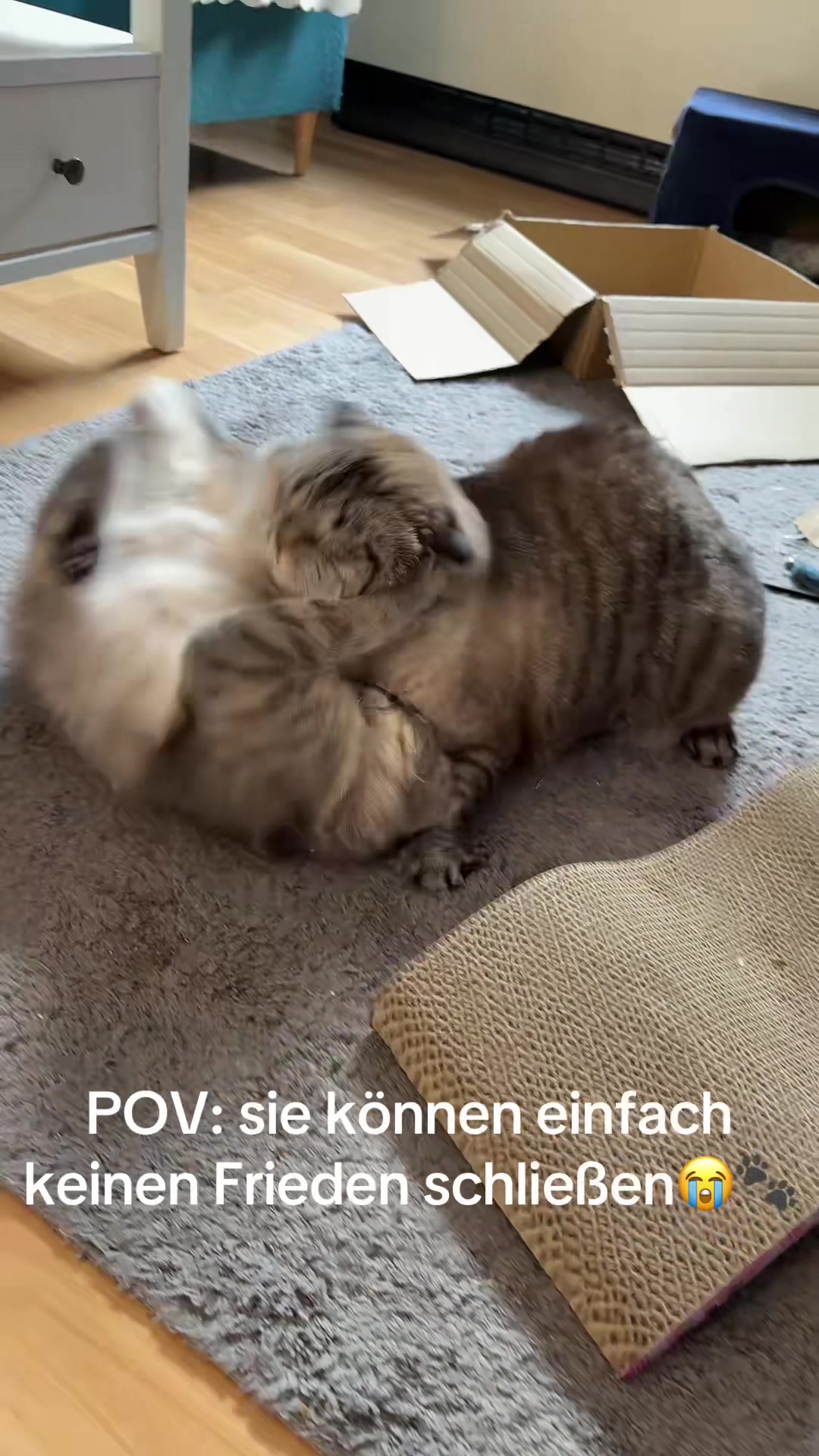 @miabalou.daily