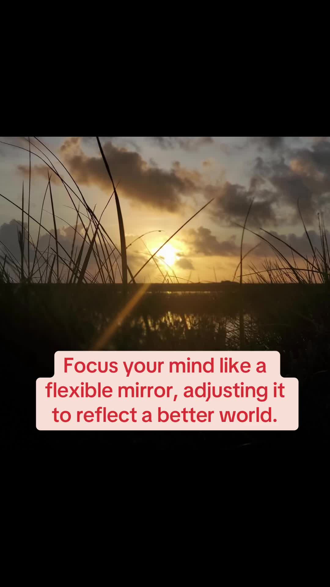 @Focus Works