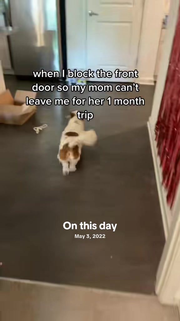 @MOOCHIE MOO