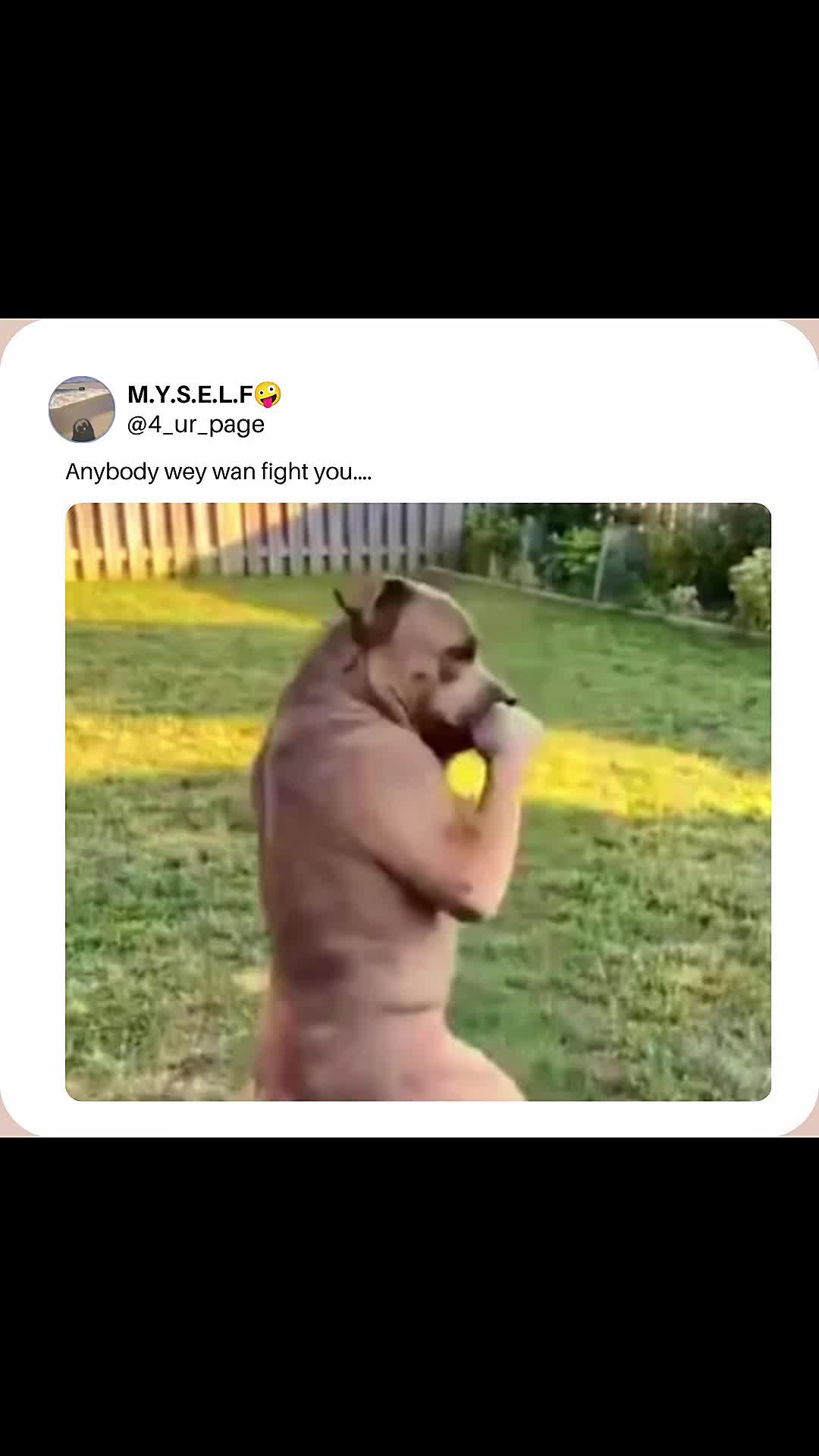 @M.Y.S.E.L.F🤪