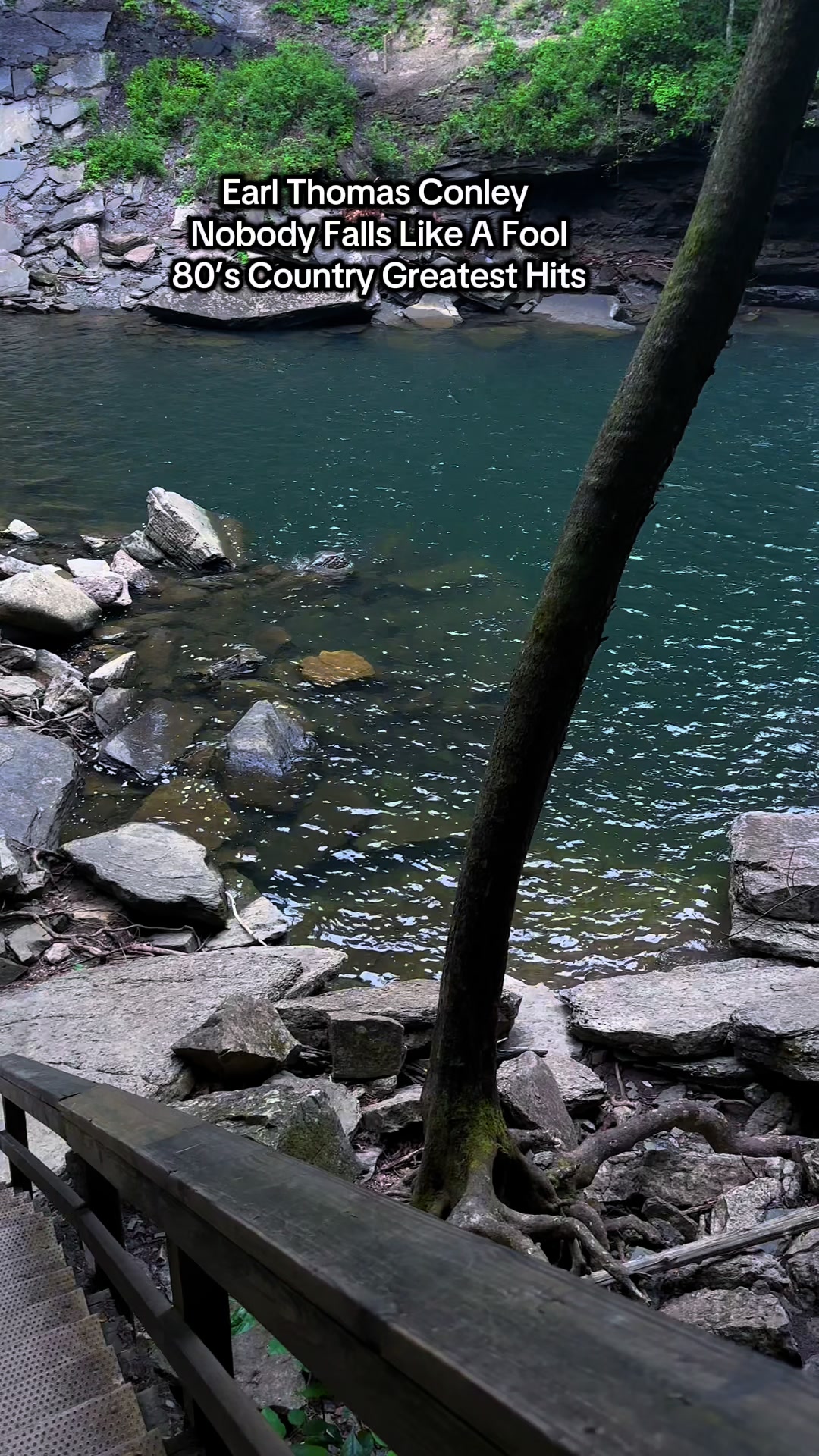@naturesforestcore