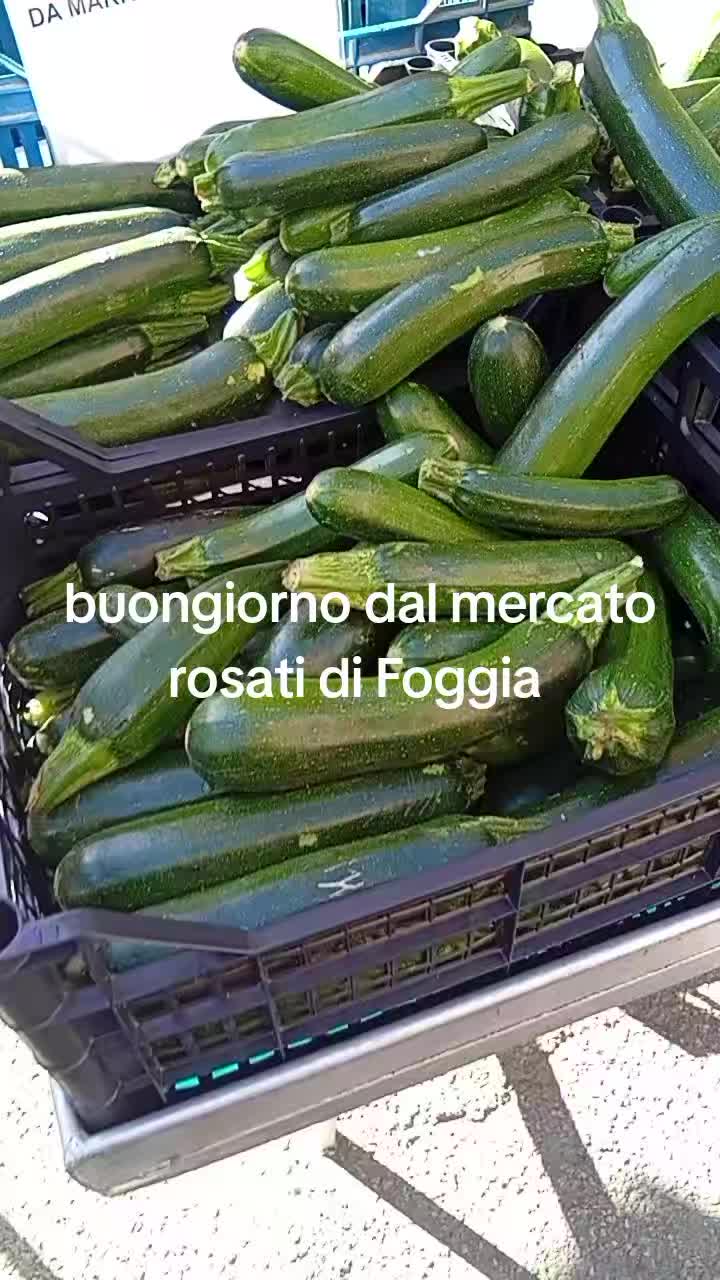 @mariodantonio7