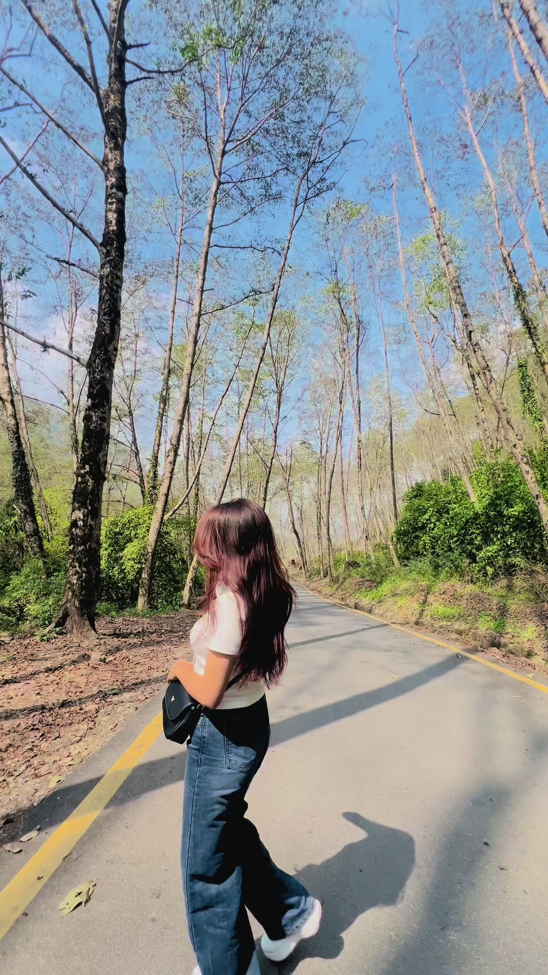 @Anjali☘️