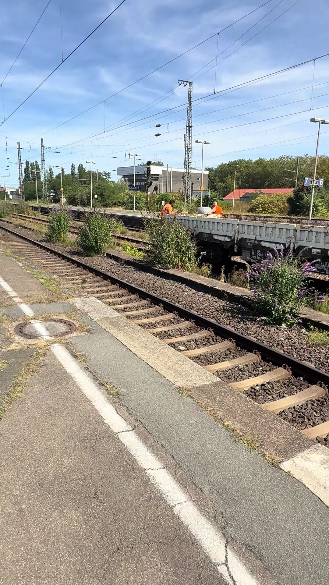 @S-Bahn TrainspotterWindeck