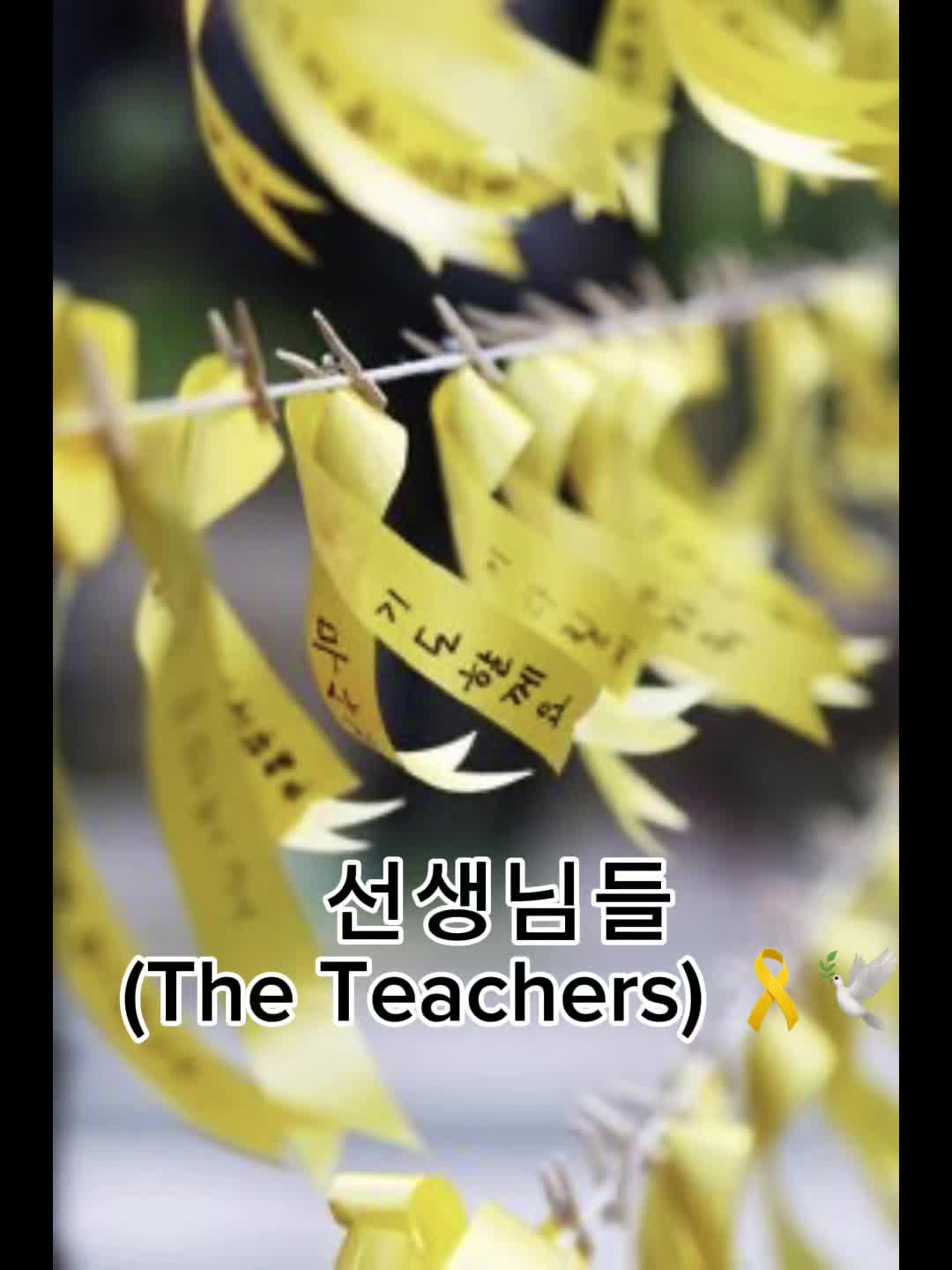 @세월호 비극🎗️
