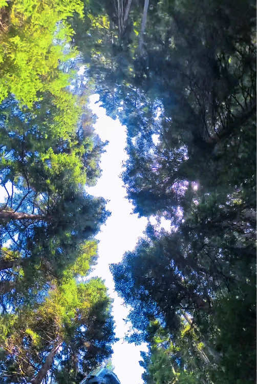 @explorerGRiders