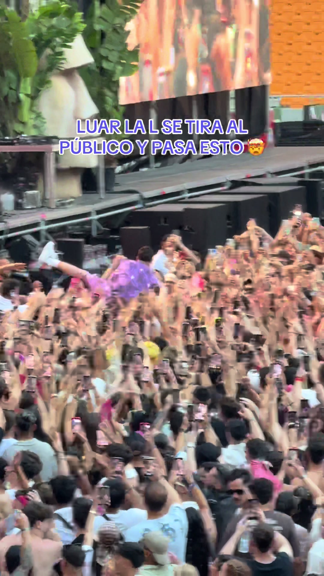 @Puro Latino Fest