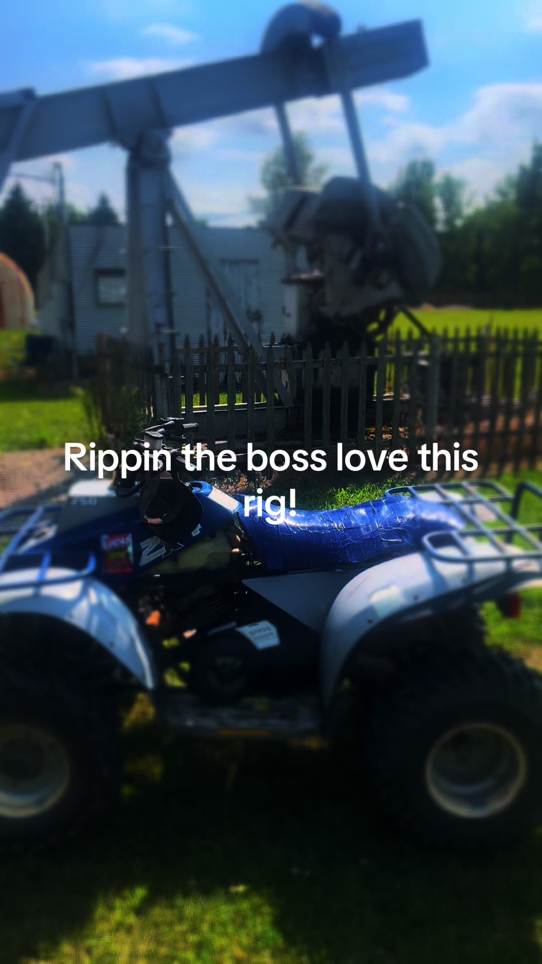 @dirtbike 300