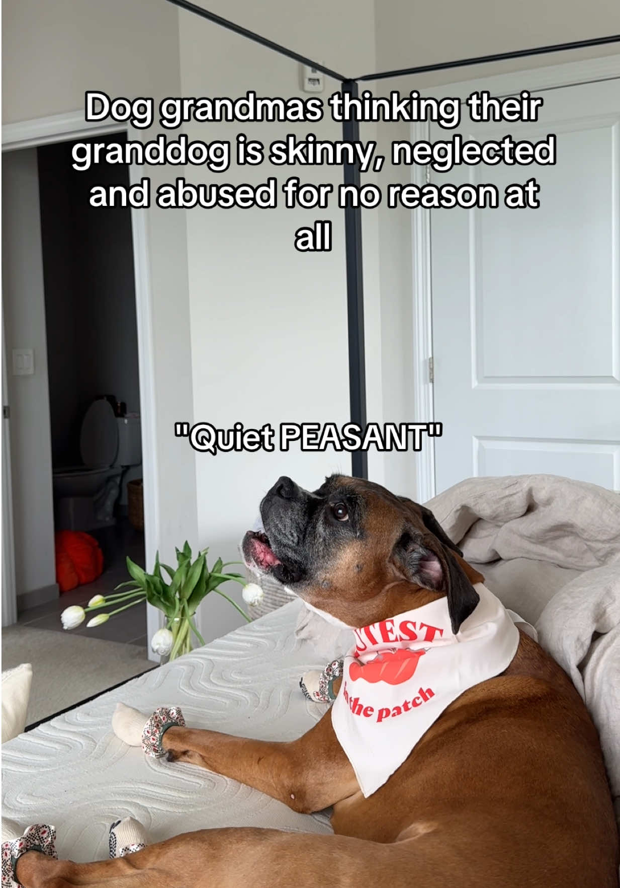 @Princess Poppy