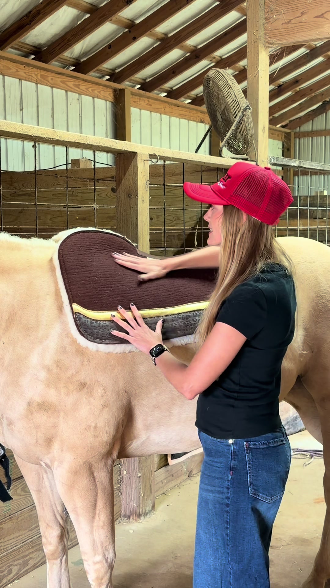 @5 Star Equine
