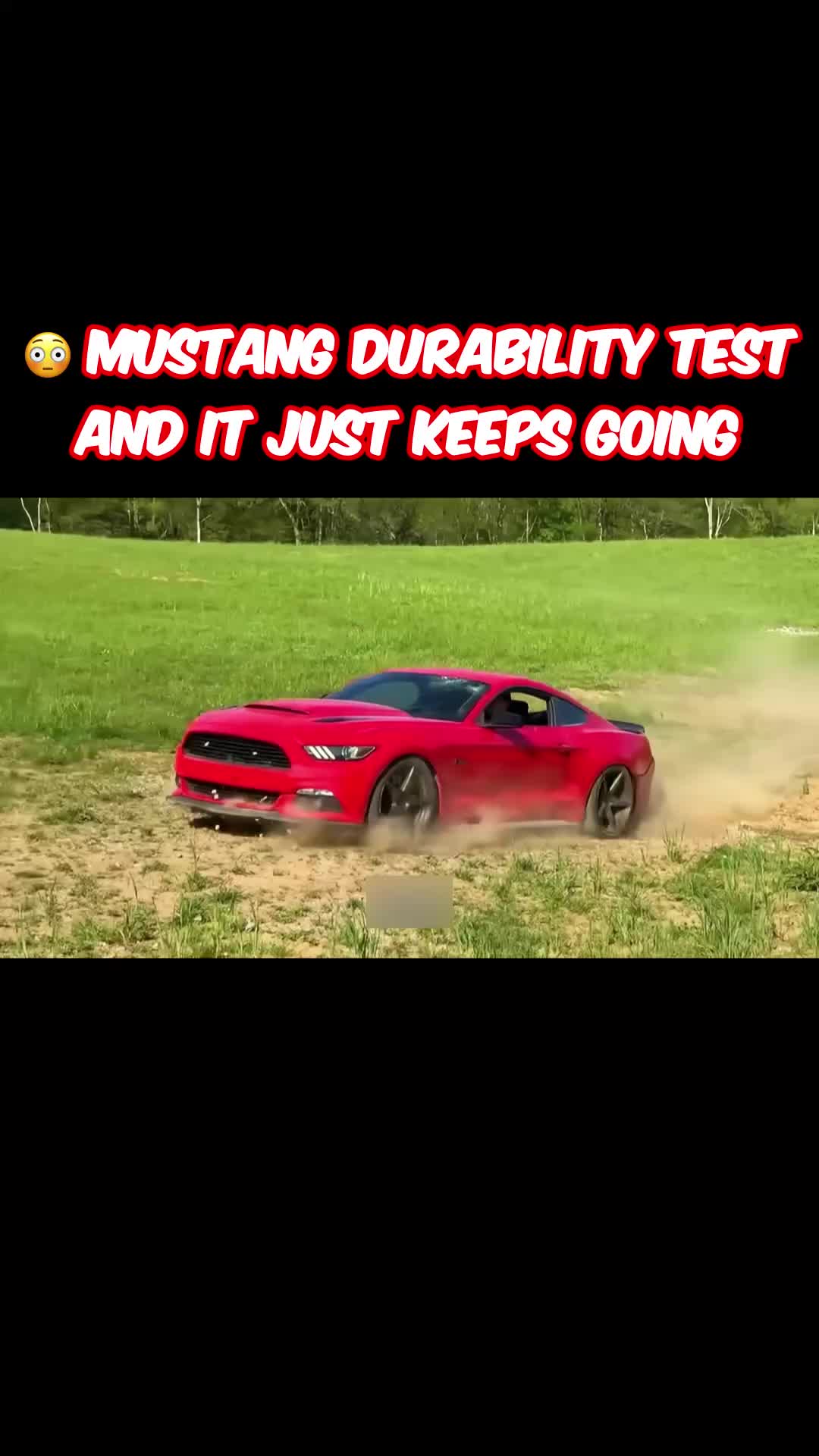 @Muscle Cars