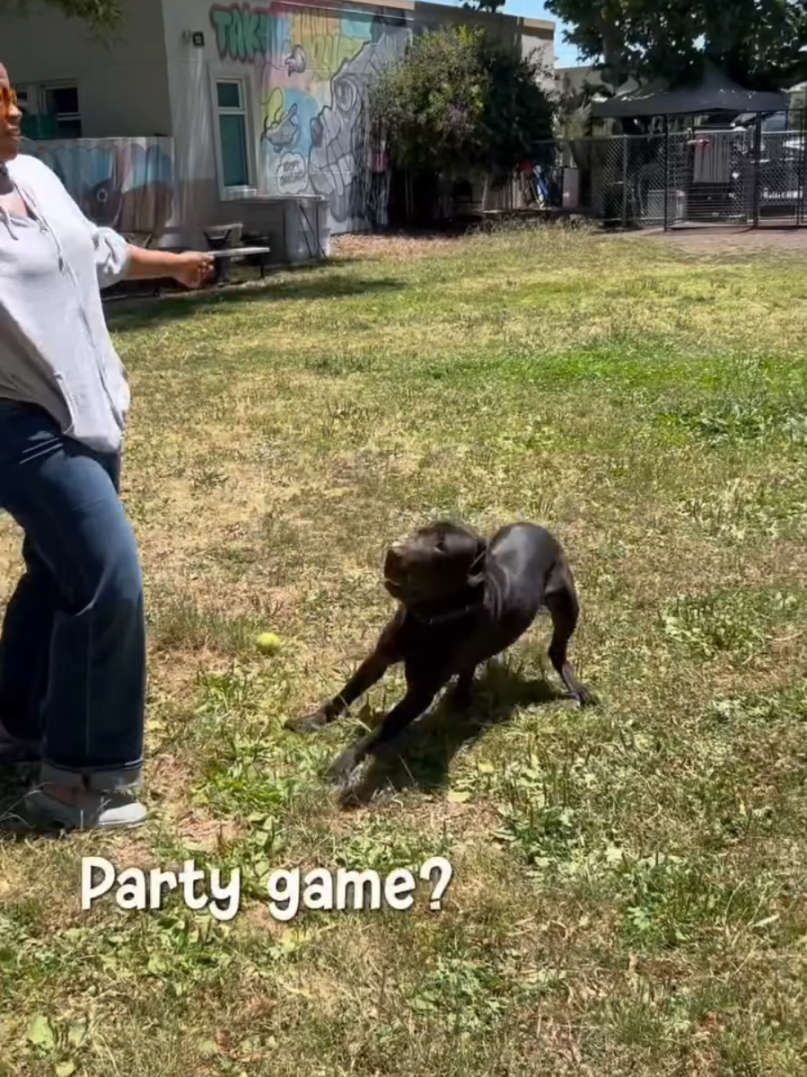 @Oakland Animal Services
