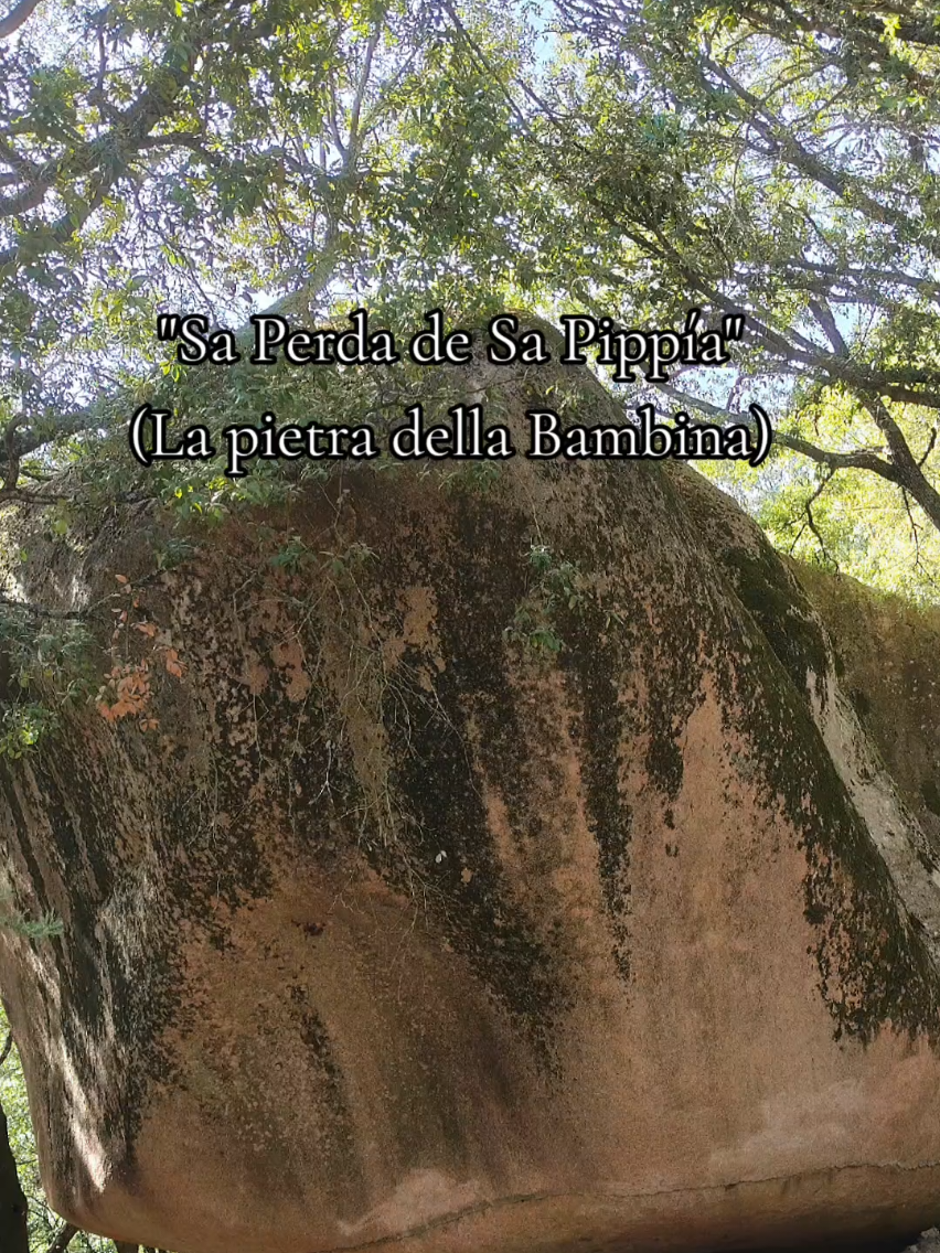 @🌻FEDERICA🌻
