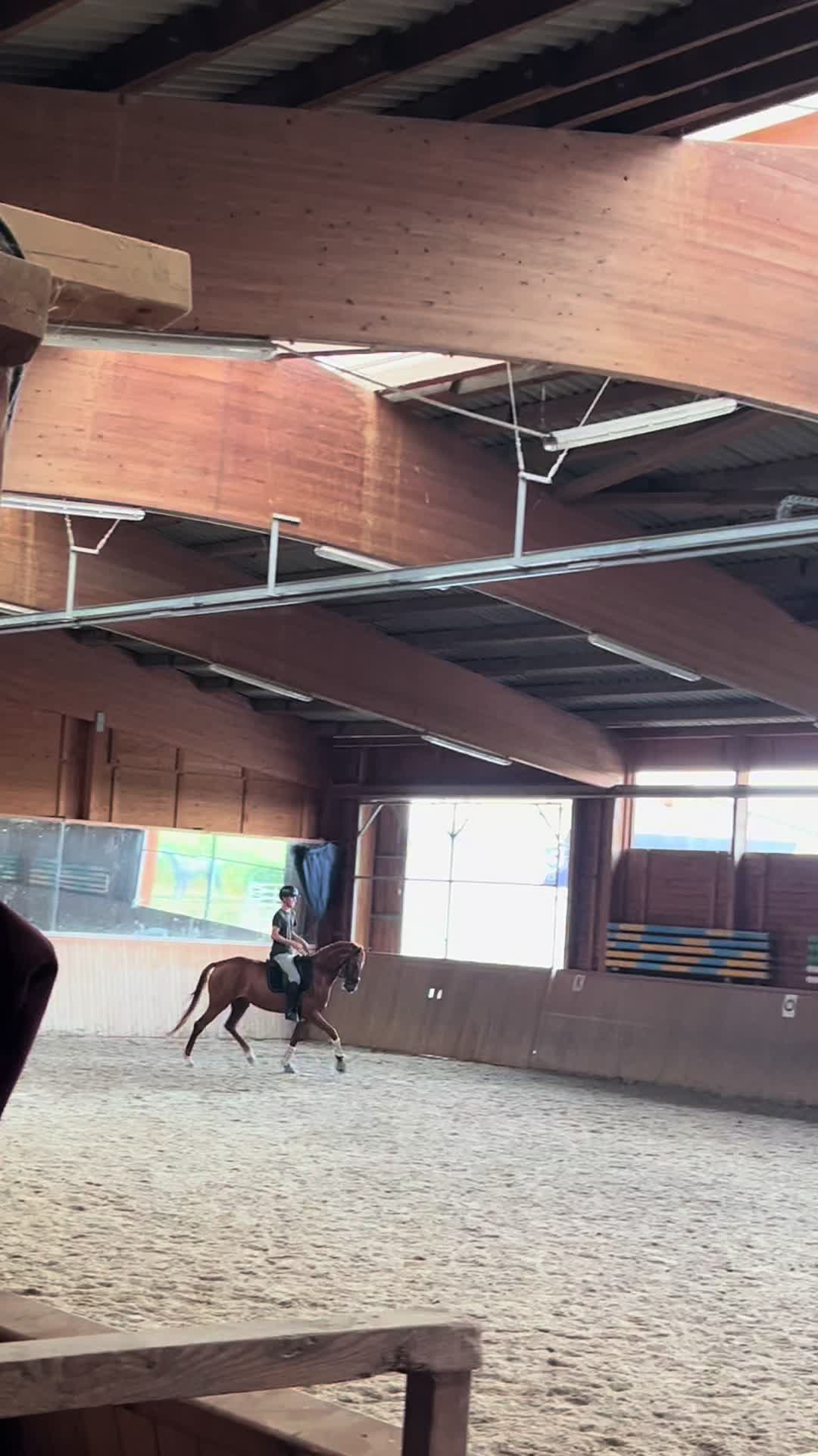 @diaryofequestrian