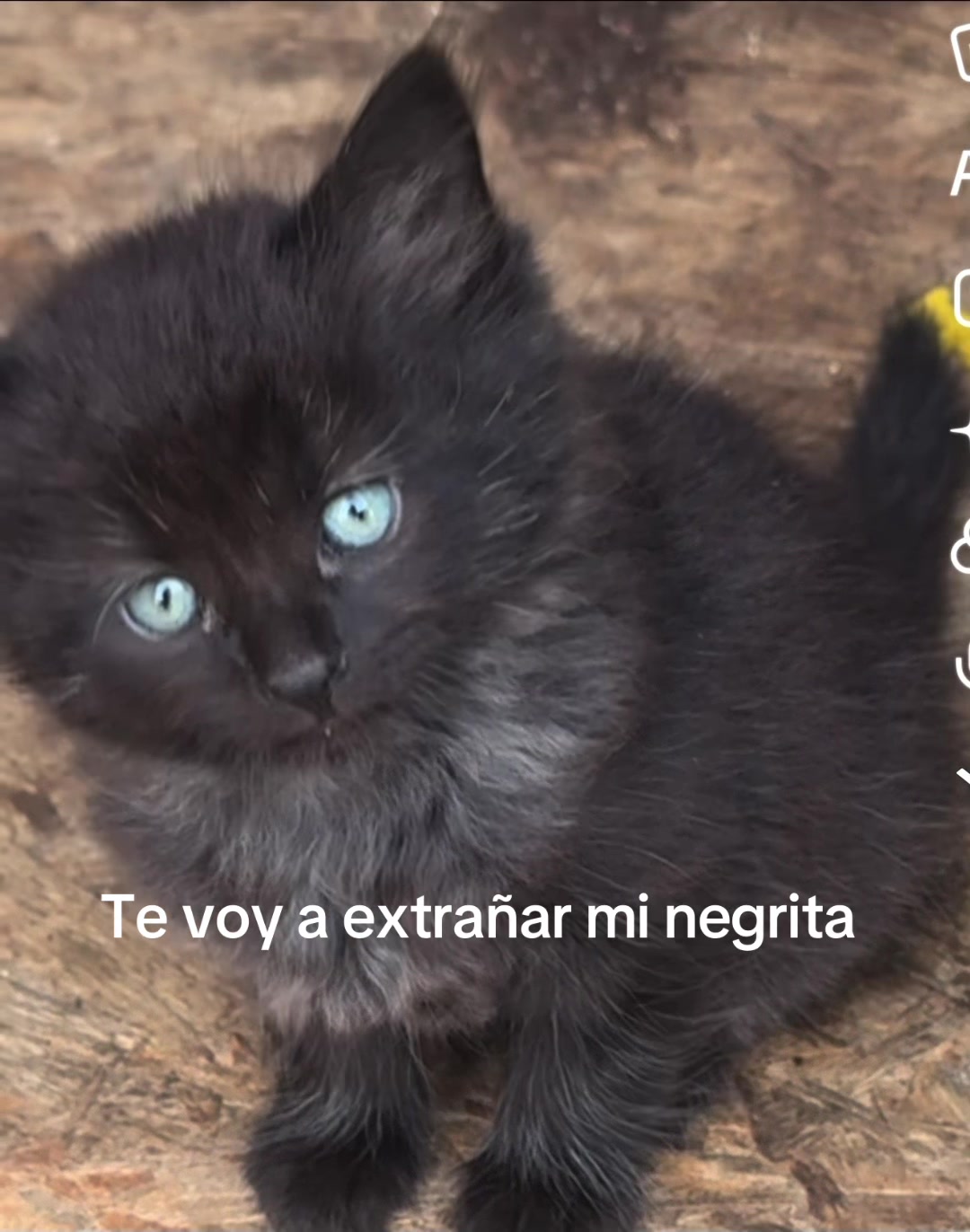 @Eva Martinez