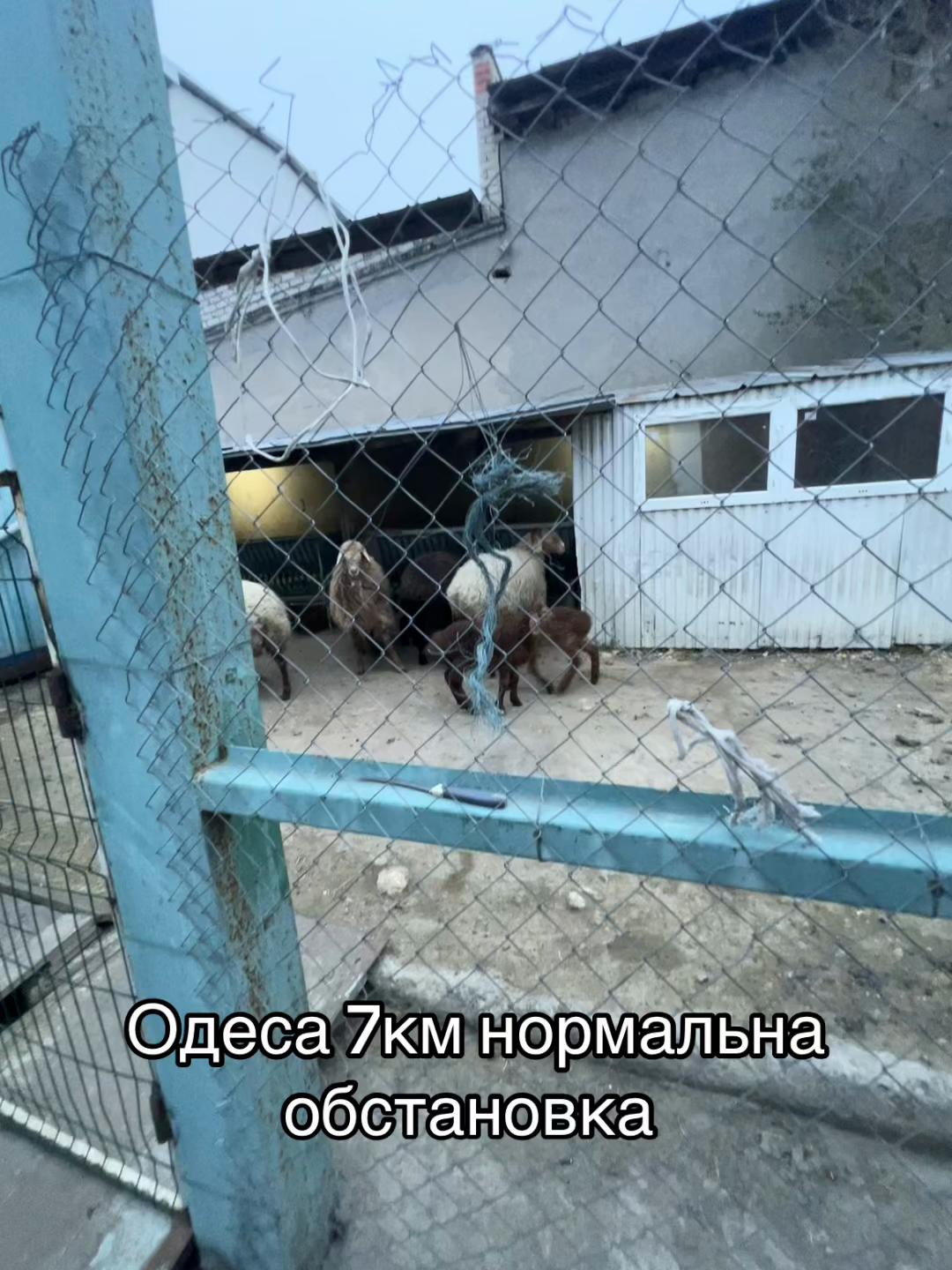 @Стас Озімковський