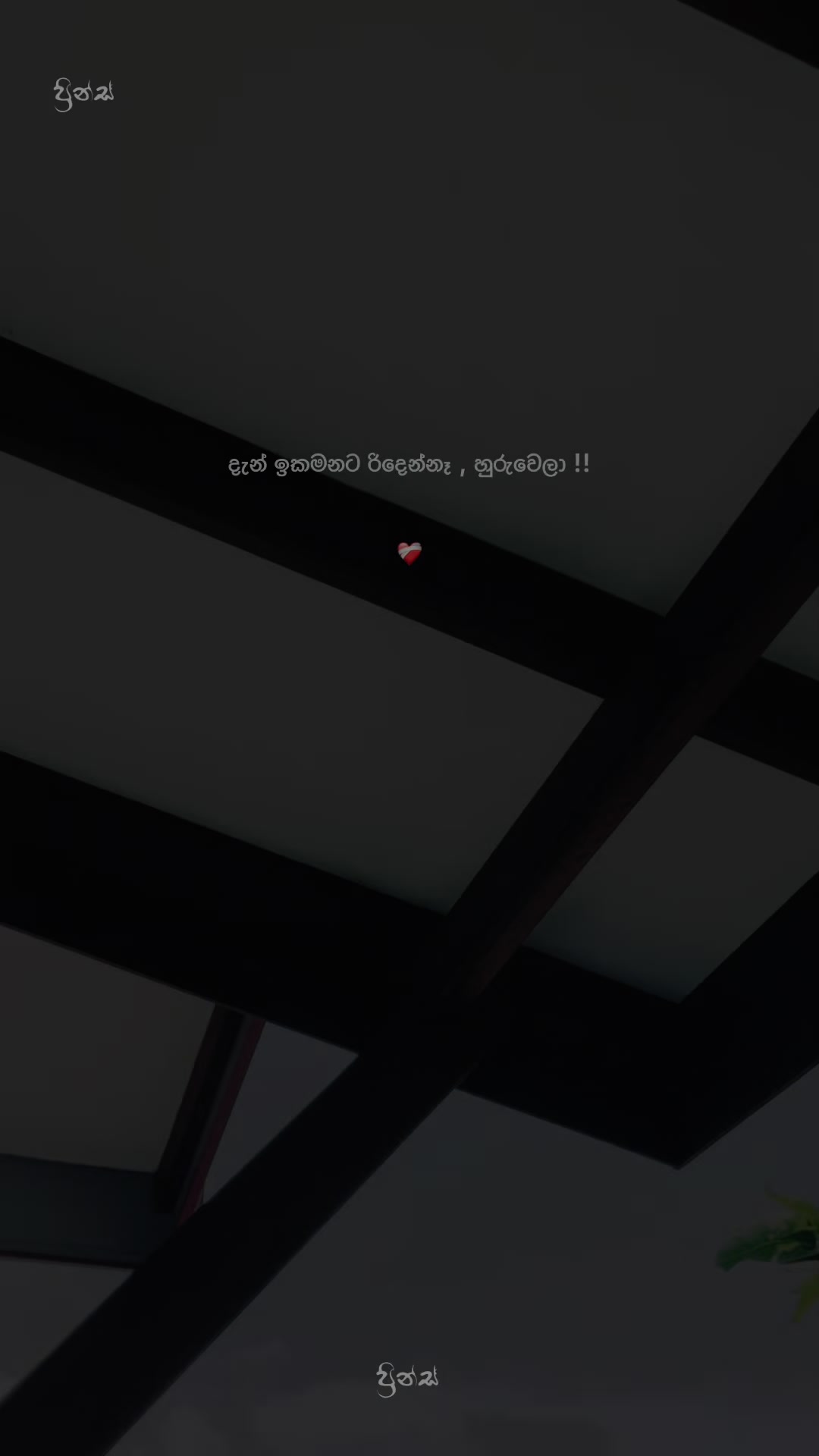 @๐ท๐น๐ฐ๐ต๐ช๐ฌ ๐งฟ